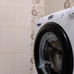 Фото Вежливый лось на Дмитровской