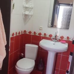 Фото Жасмин