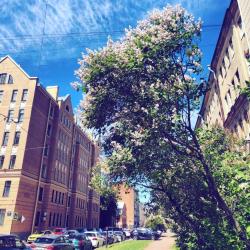 Фото Апарт-отель Окошки