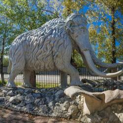 Фото Звездная по Владивостокскому шоссе