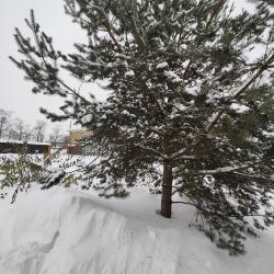 Фото Гостевой дом Пролетарская улица 19