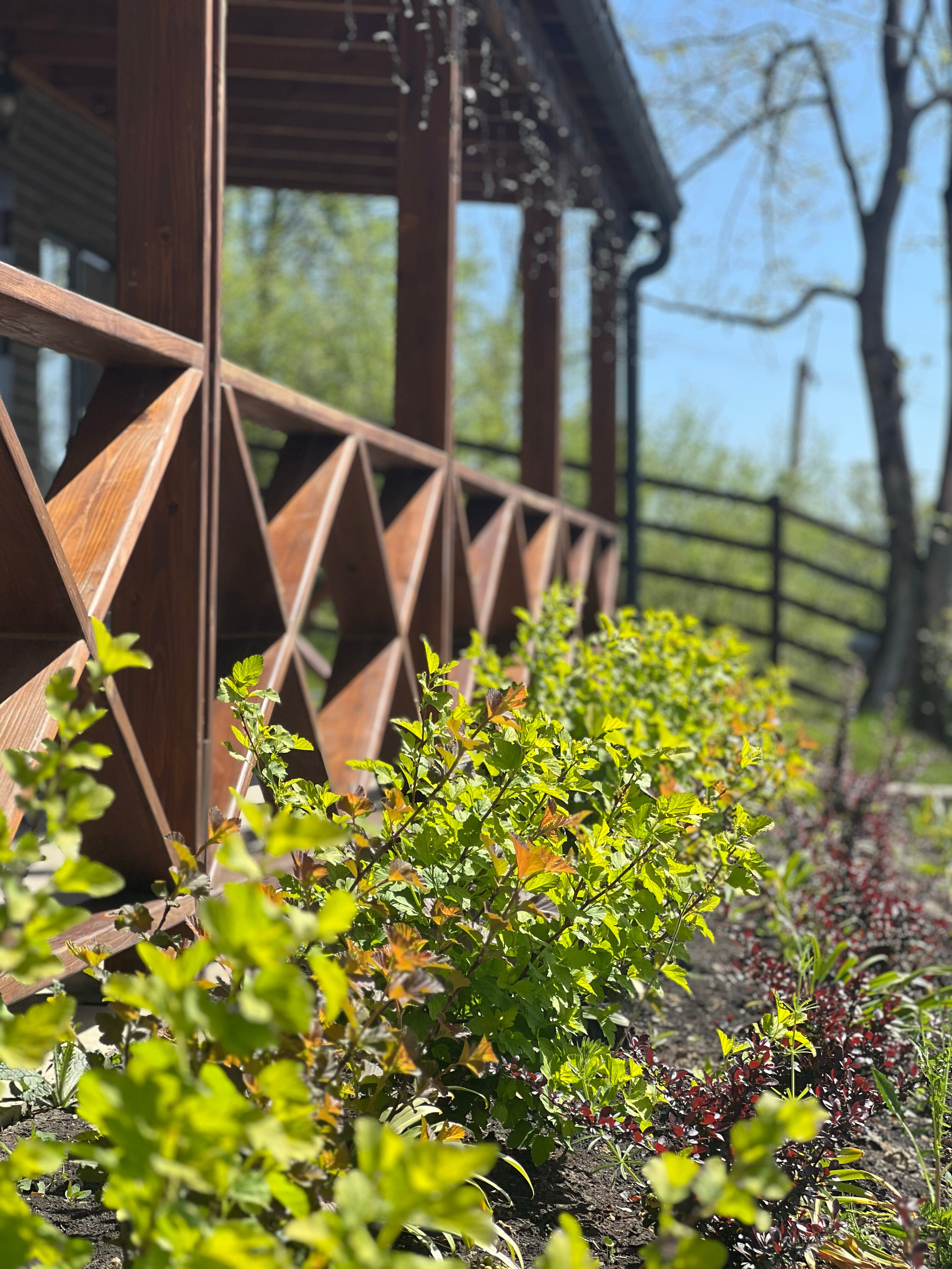 Фото 4 Сезона