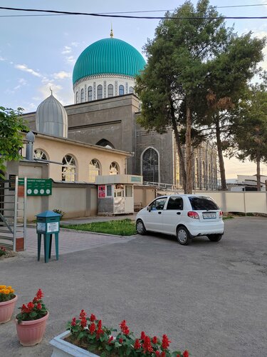 Oq ichki kiyimdagi ayollar