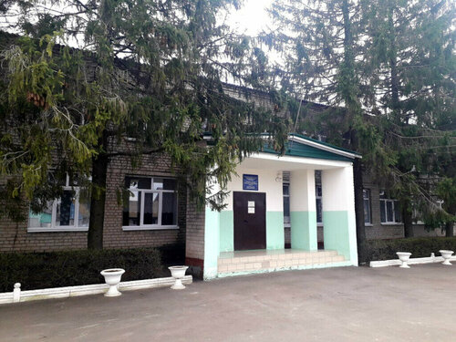 Начальная школа Троицкая СОШ, Воронежская область, фото