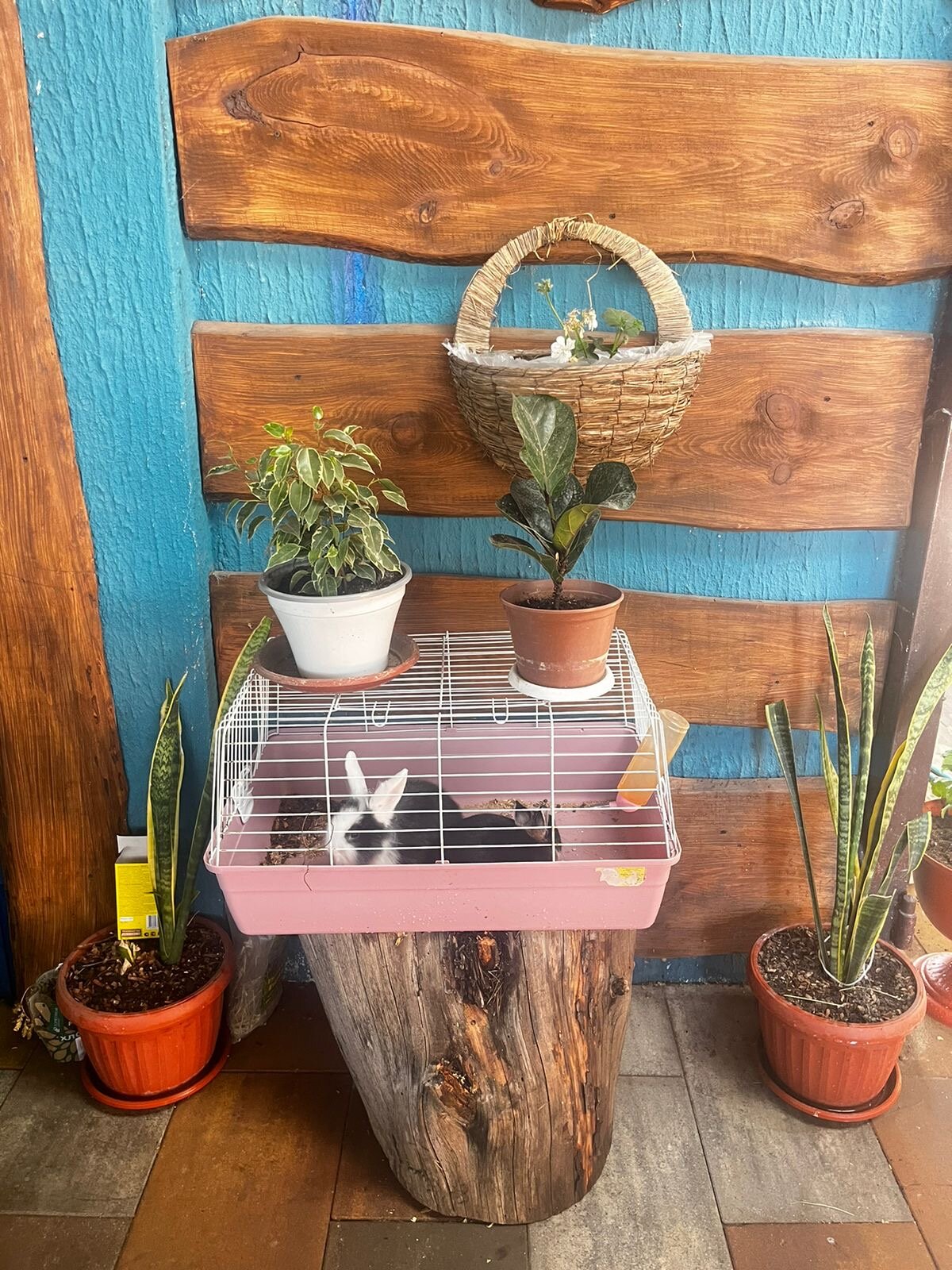 Фото Белый замок