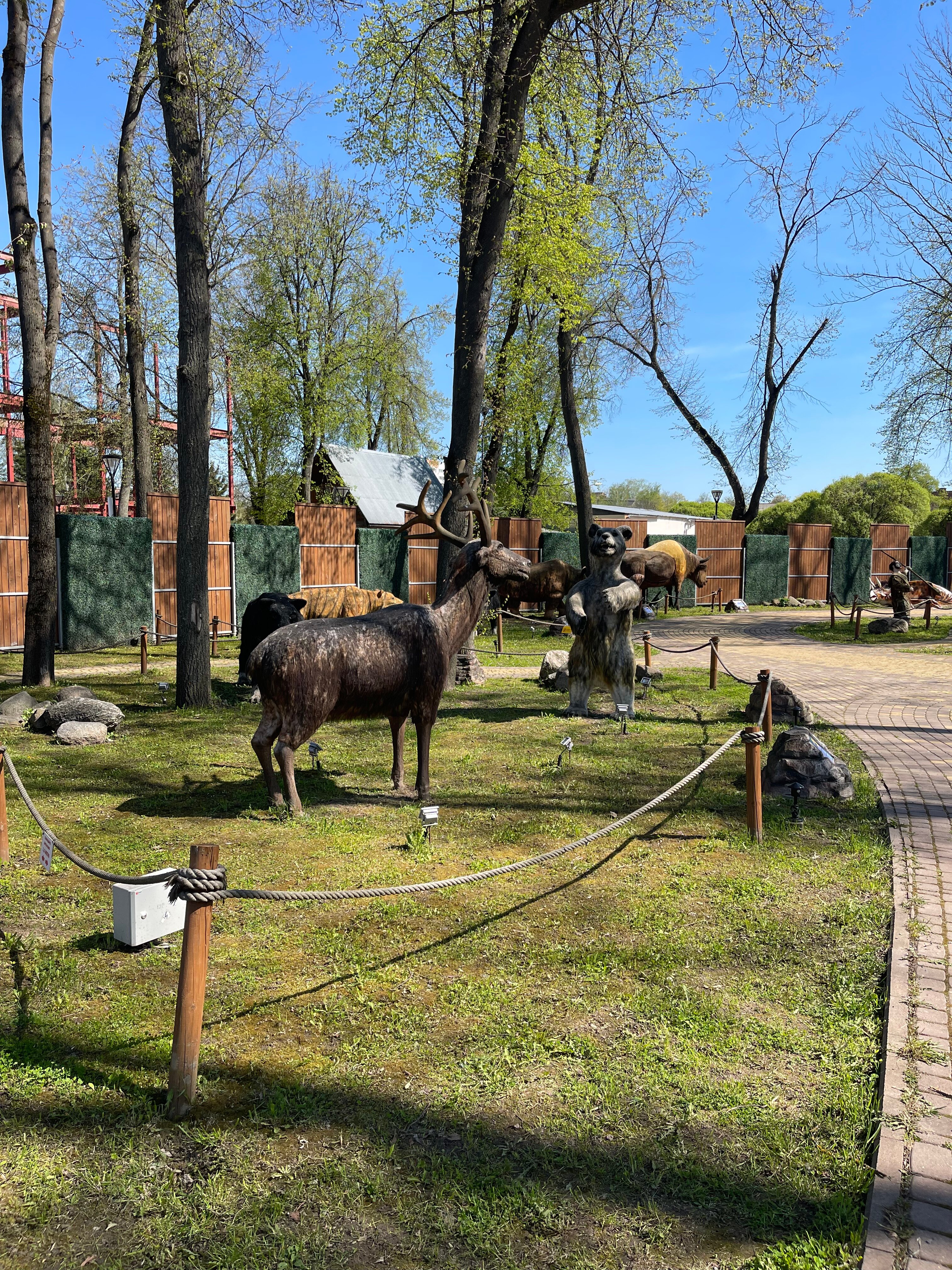 Фото Юбилейная