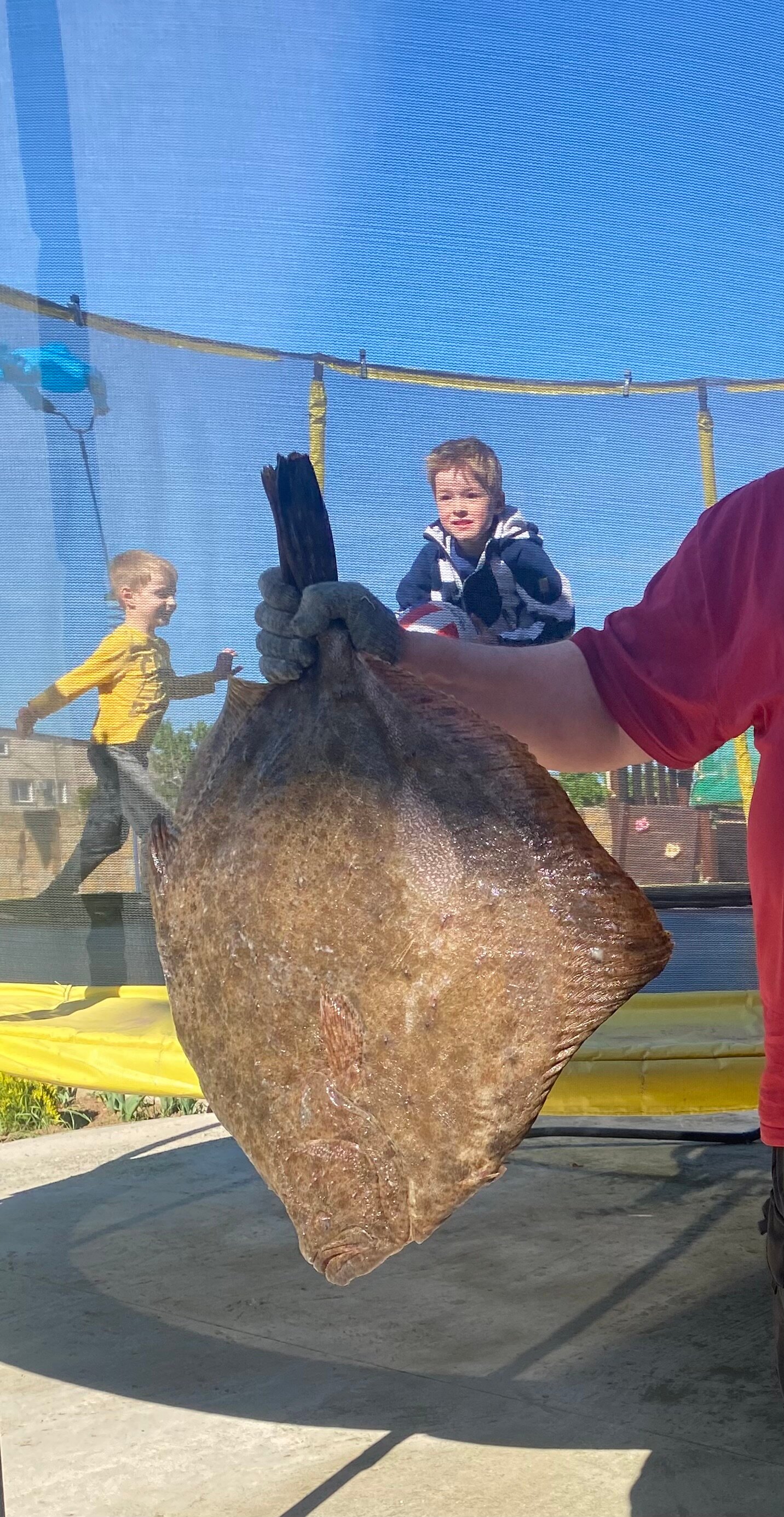 Фото Отдых и точка