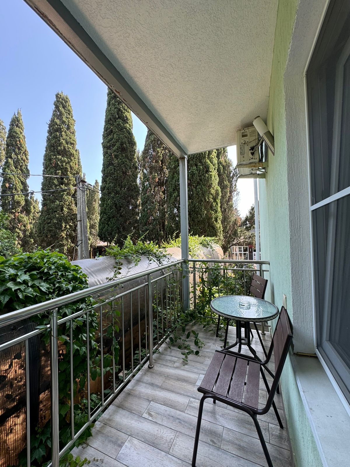 Фото Тростник