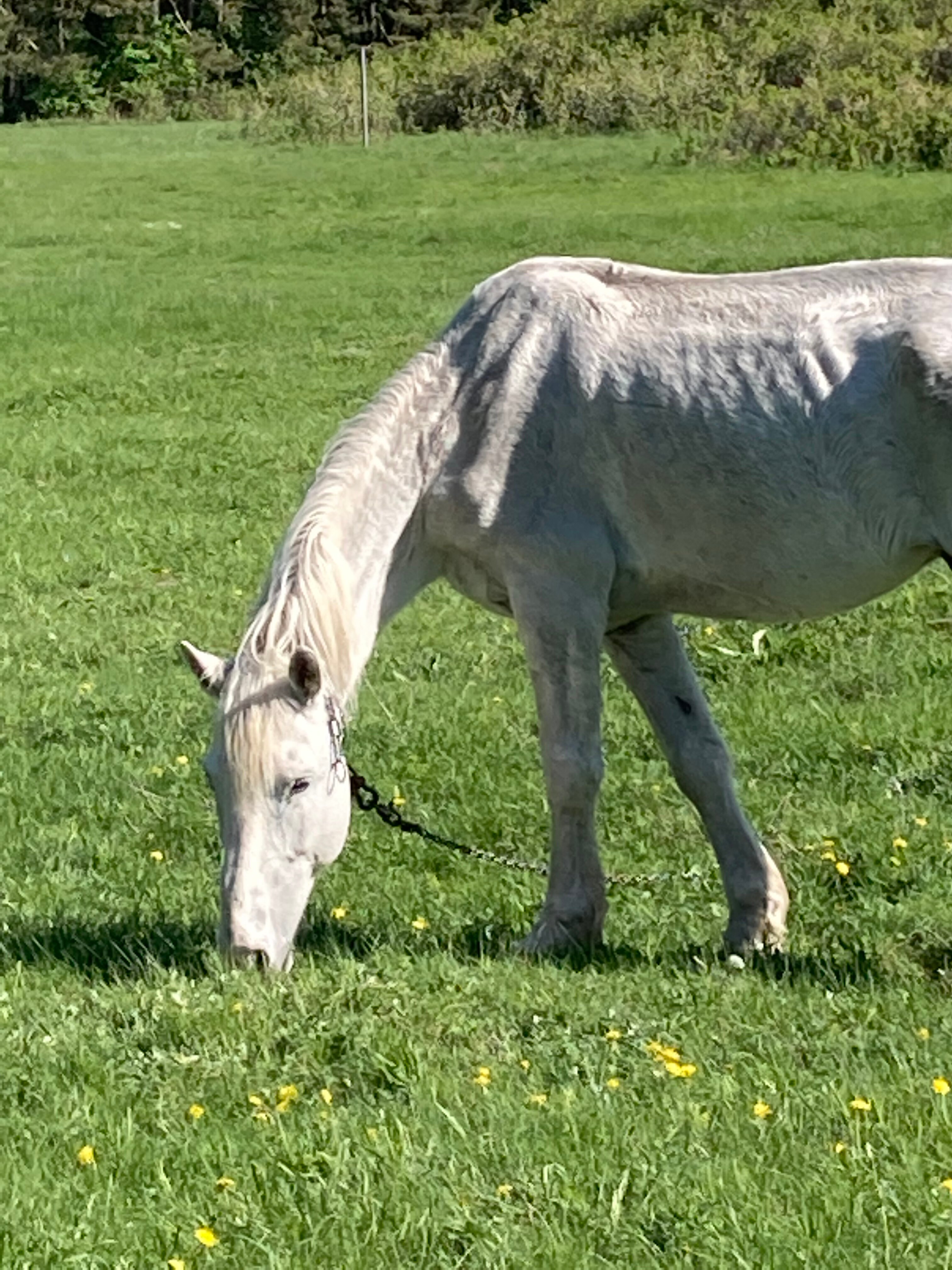 Фото Теплый хутор