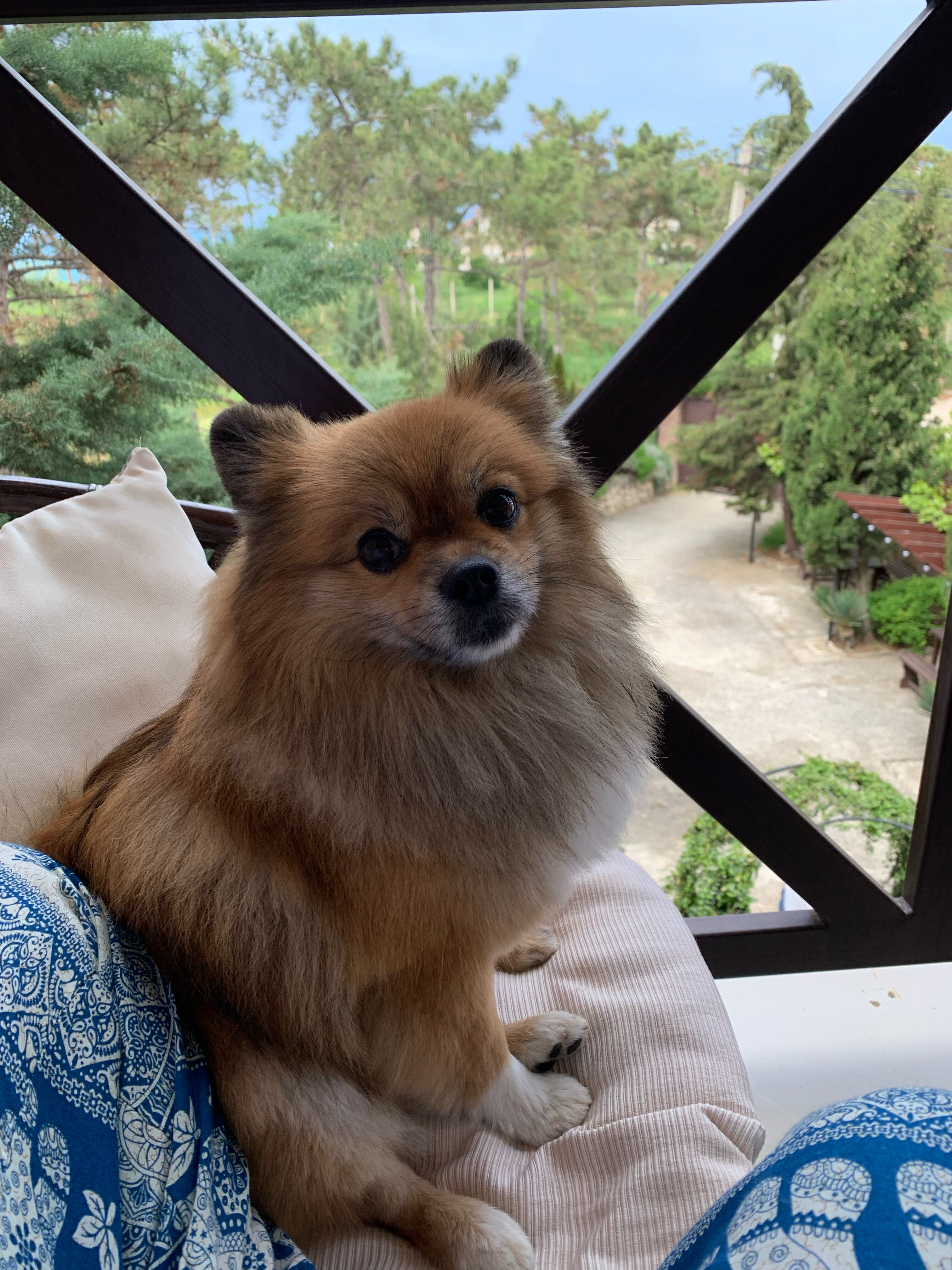 Фото Вилла Сова