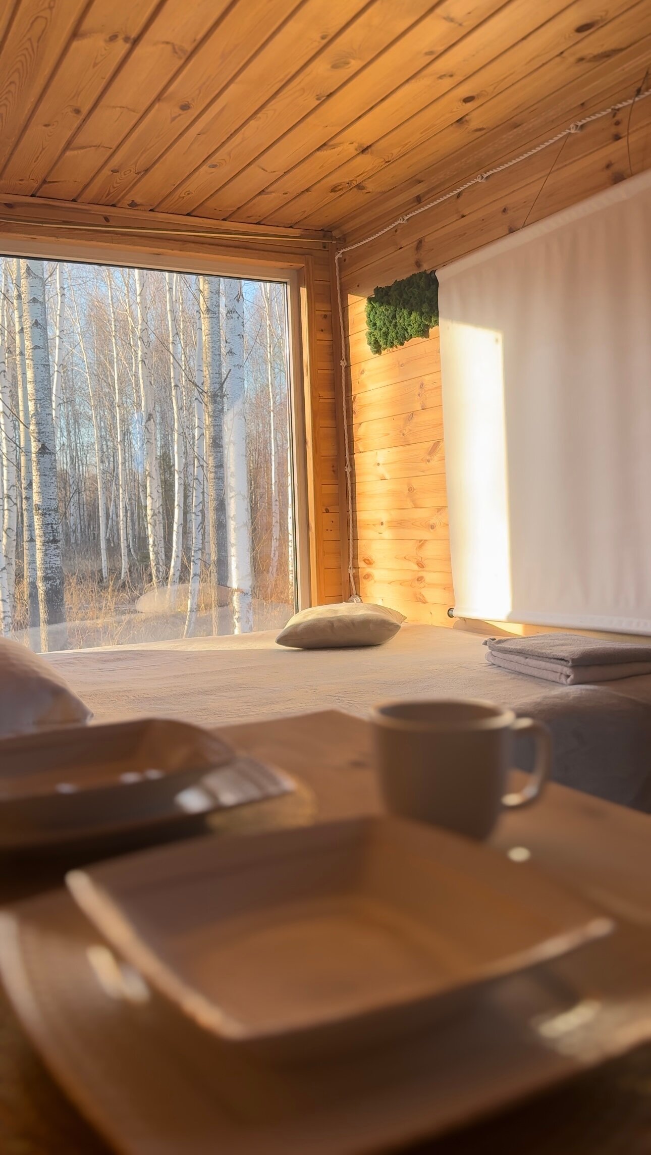 Фото База отдыха Шелест