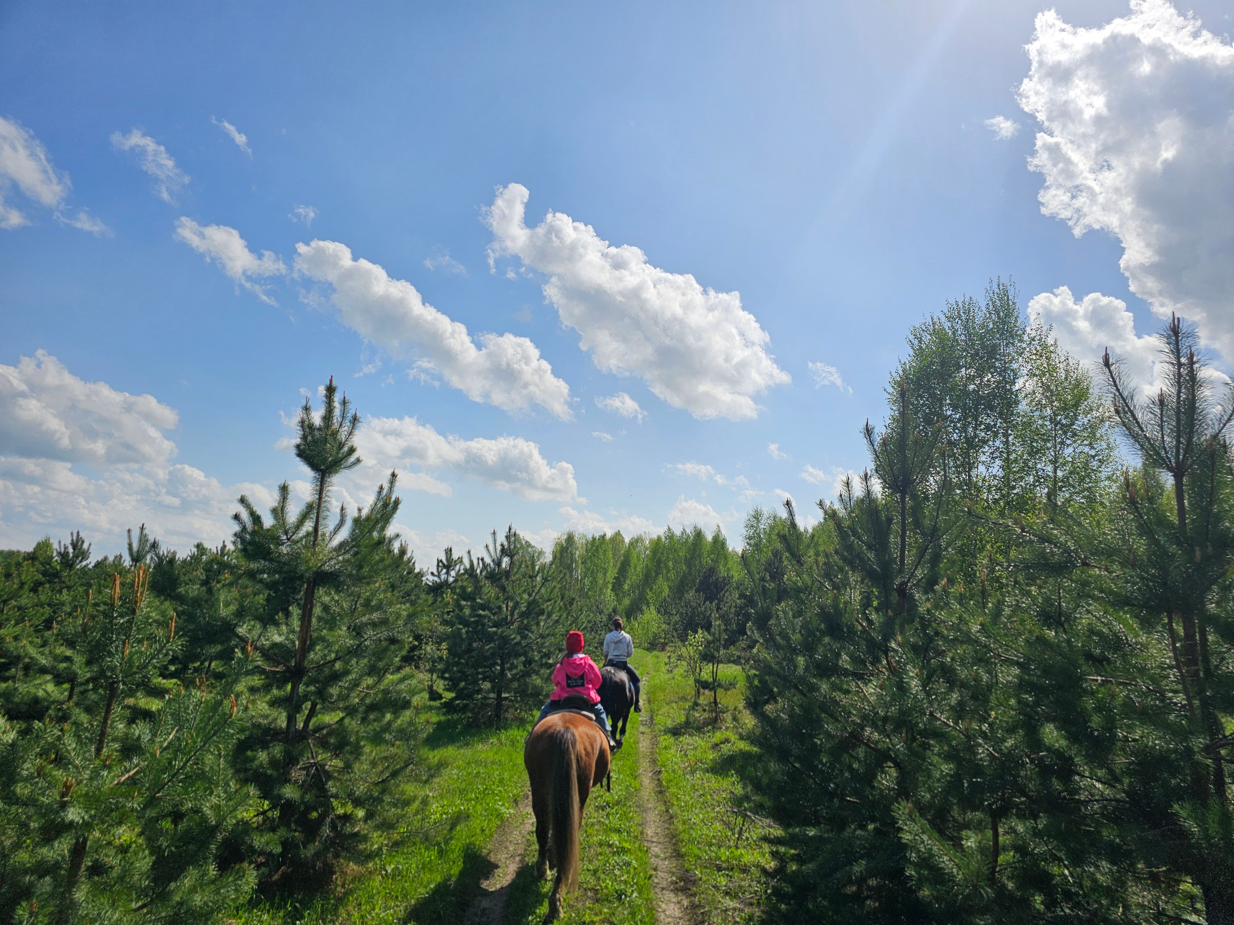 Фото Орехово Лес