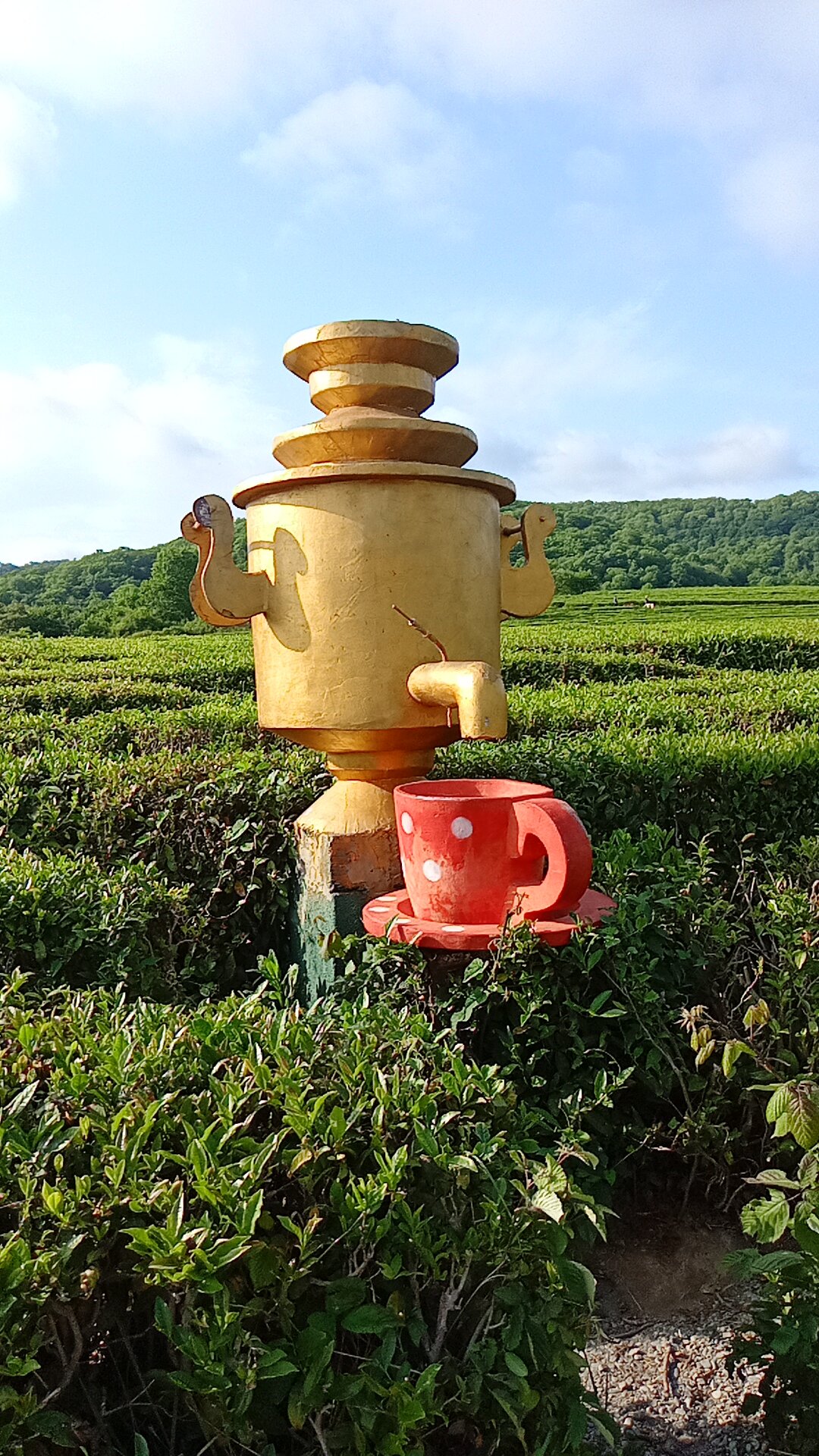 Фото Дом радости