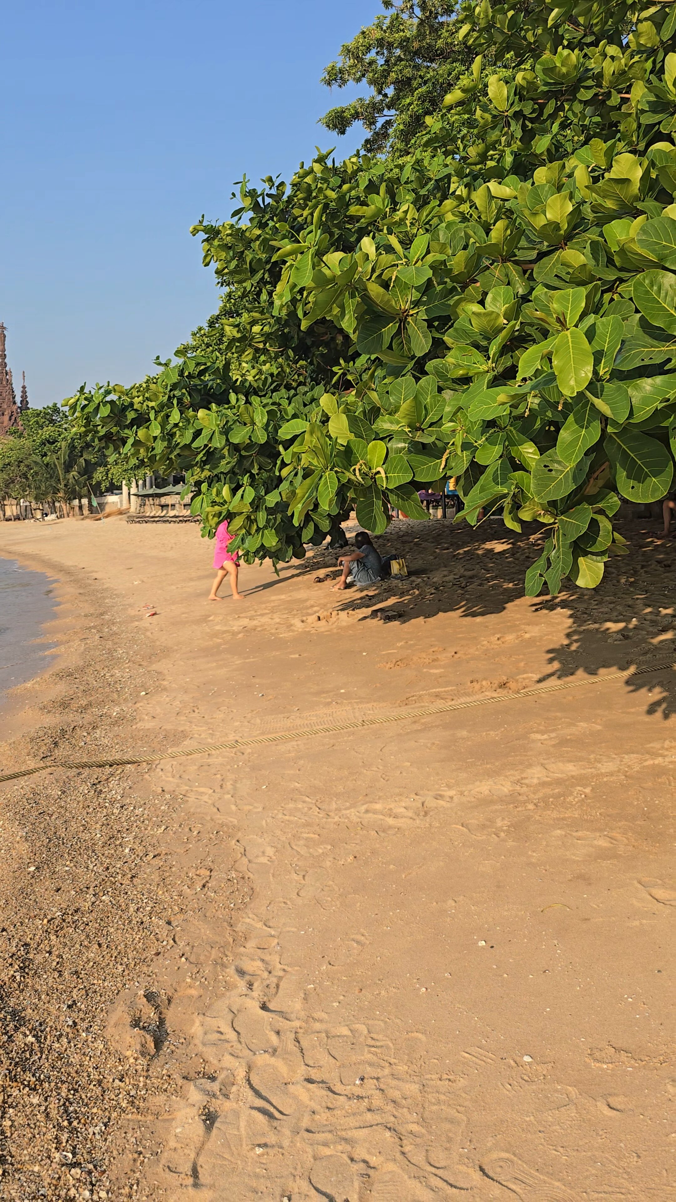 Фото Garden Cliff Resort and SPA