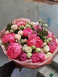 Zhivyye Tsvety (Kommunisticheskaya ulitsa, 51), flower shop