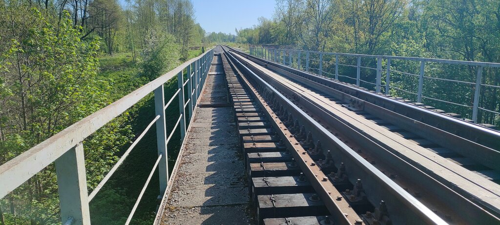 Достопримечательность Железнодорожный мост через реку Писсу, Калининградская область, фото