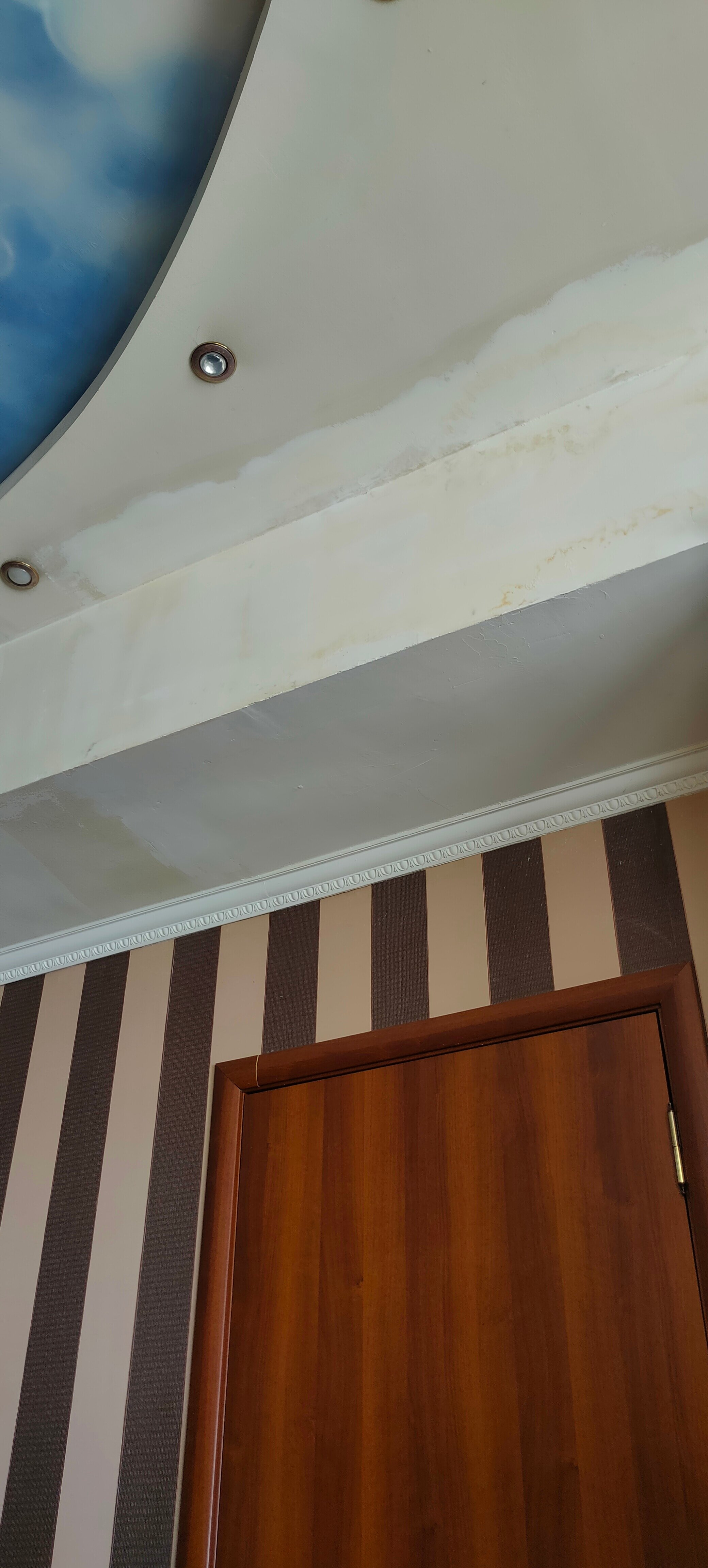 Фото Калина