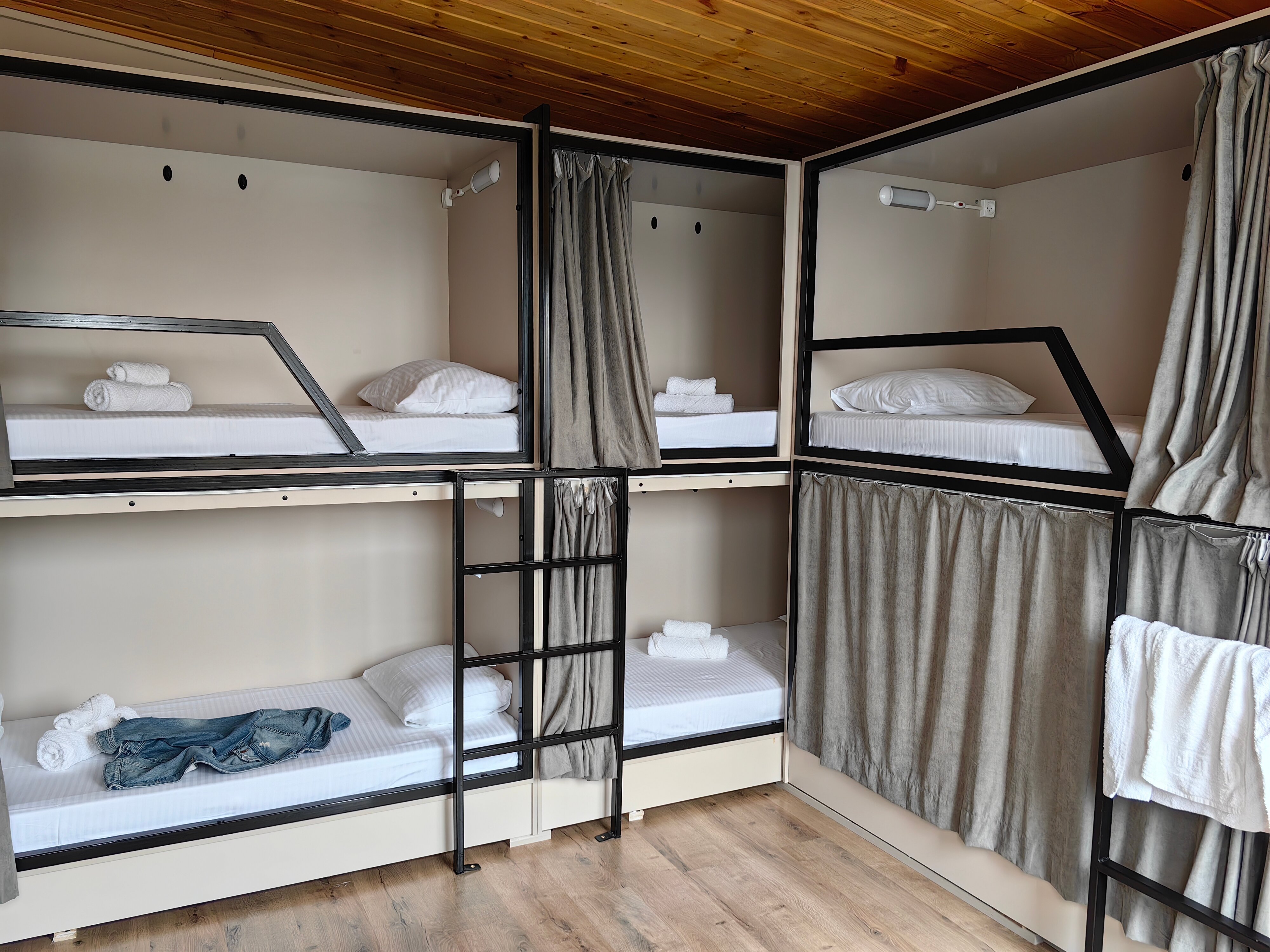 Фото Берёзка