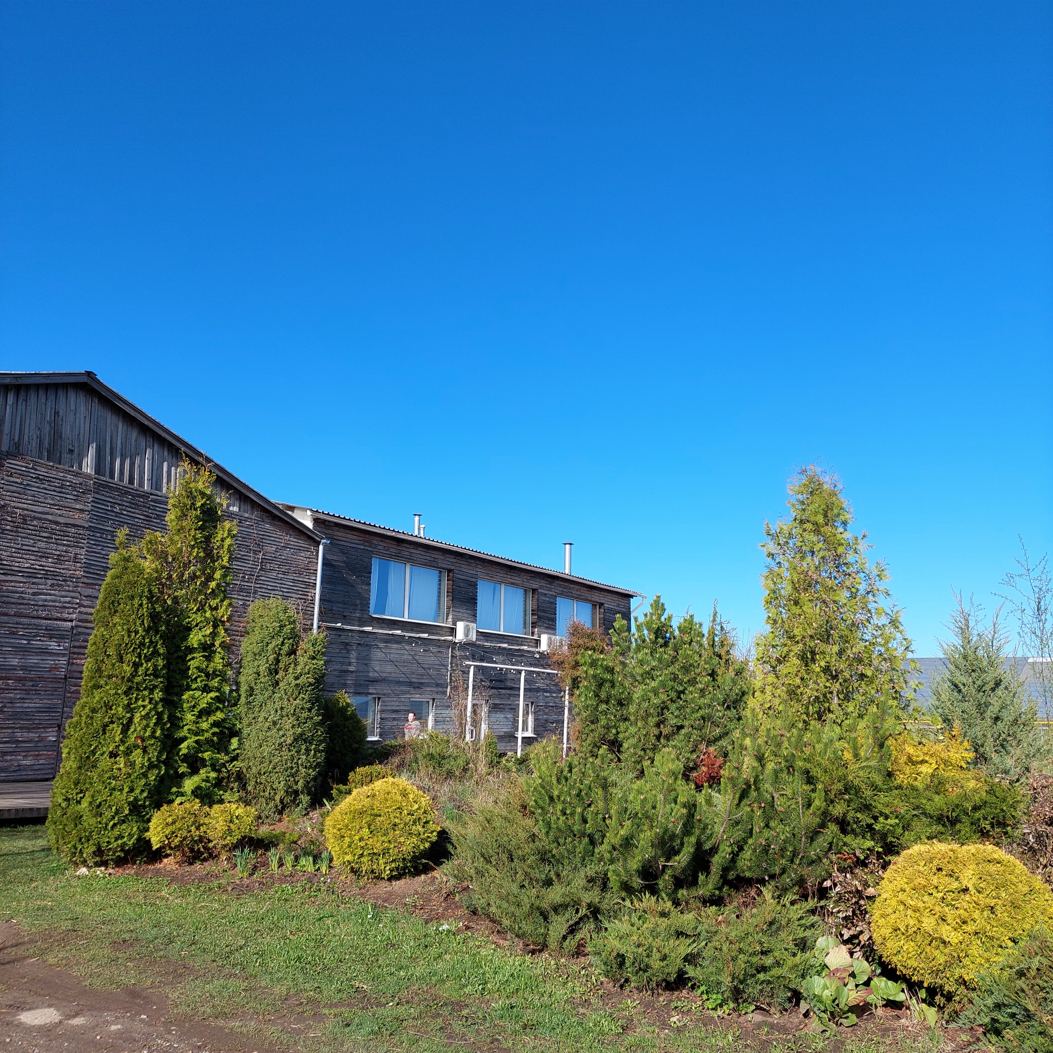 Фото 33 Пушкина