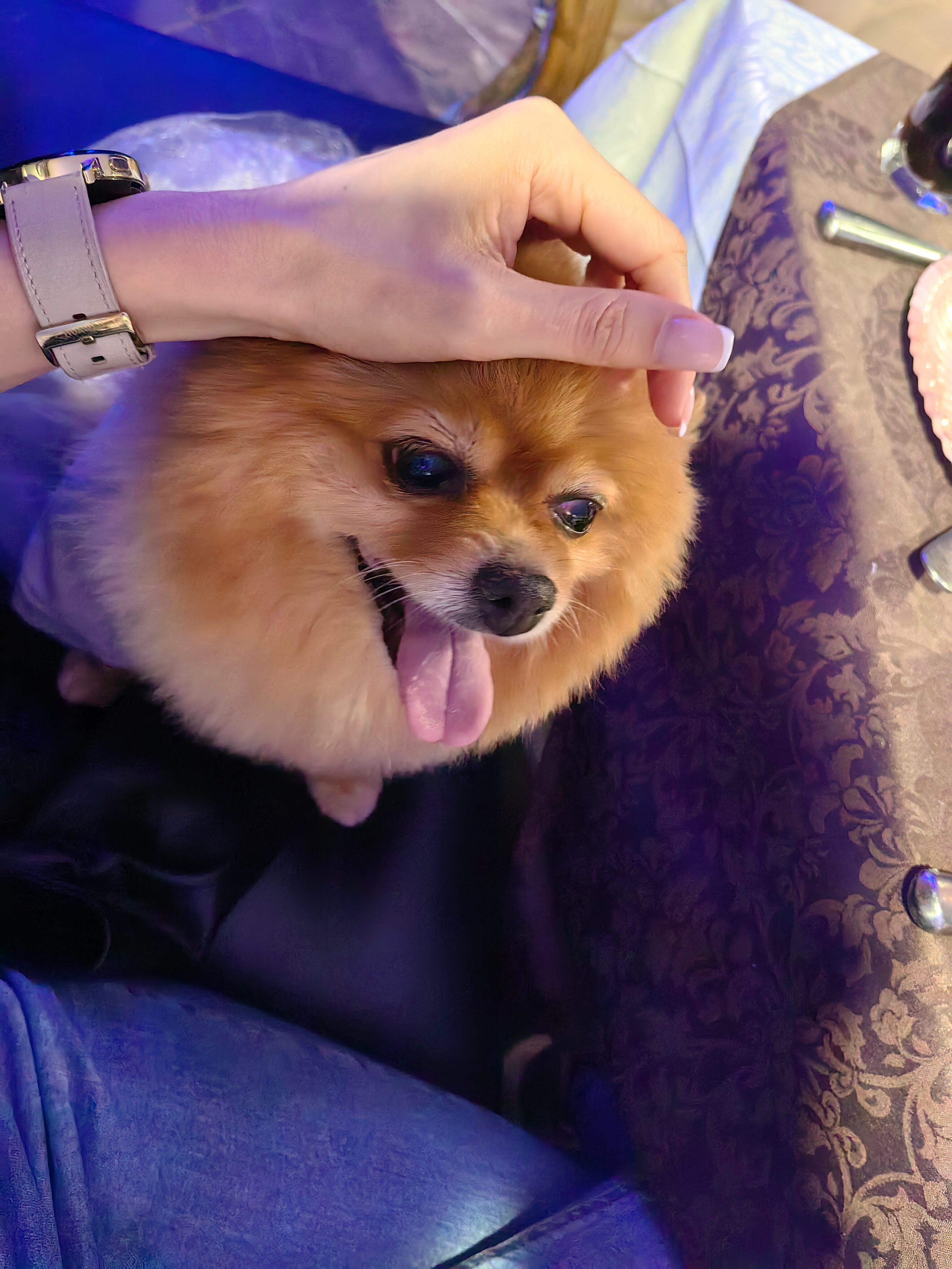 Фото Медовая