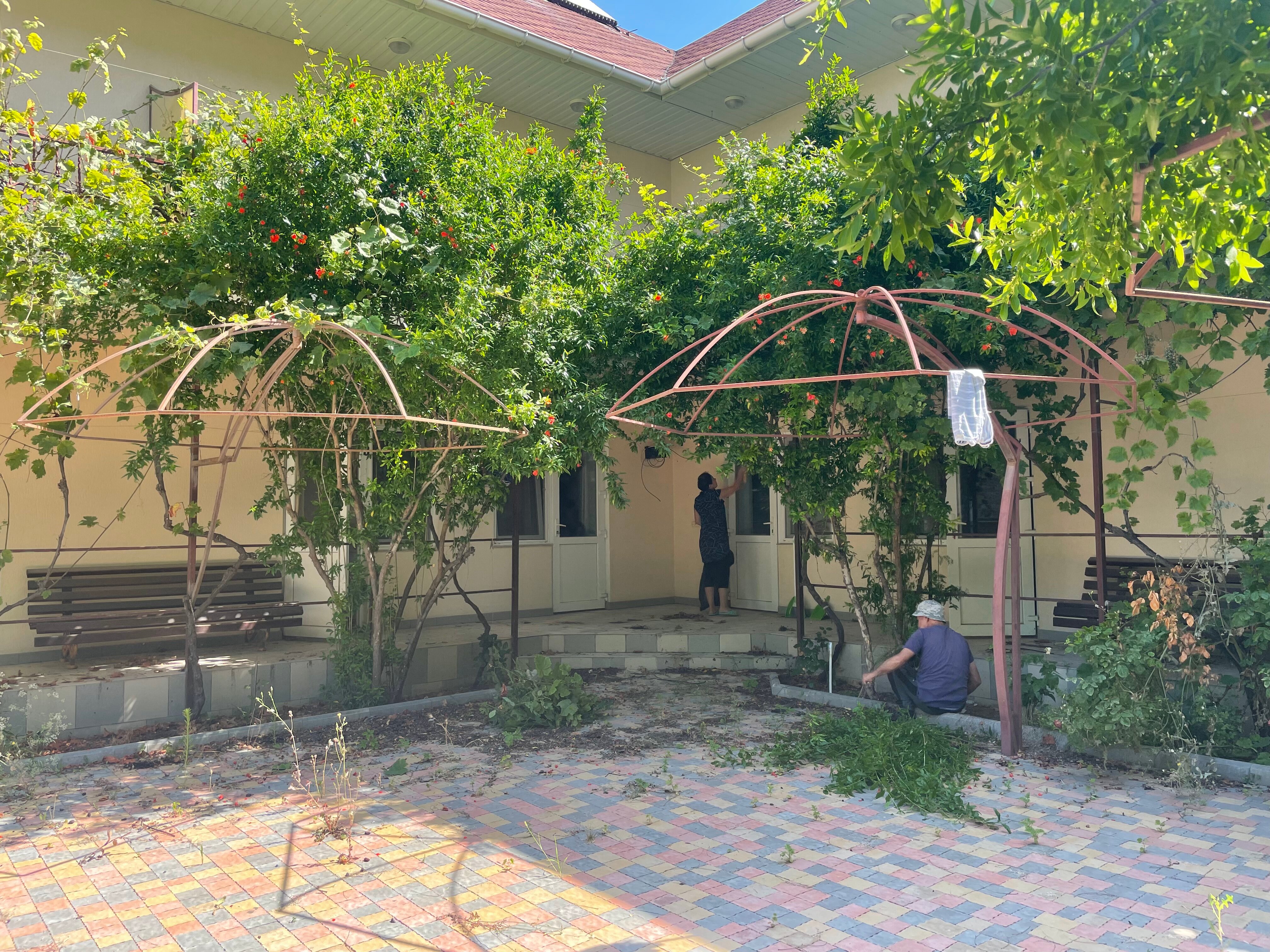 Фото Кипарис