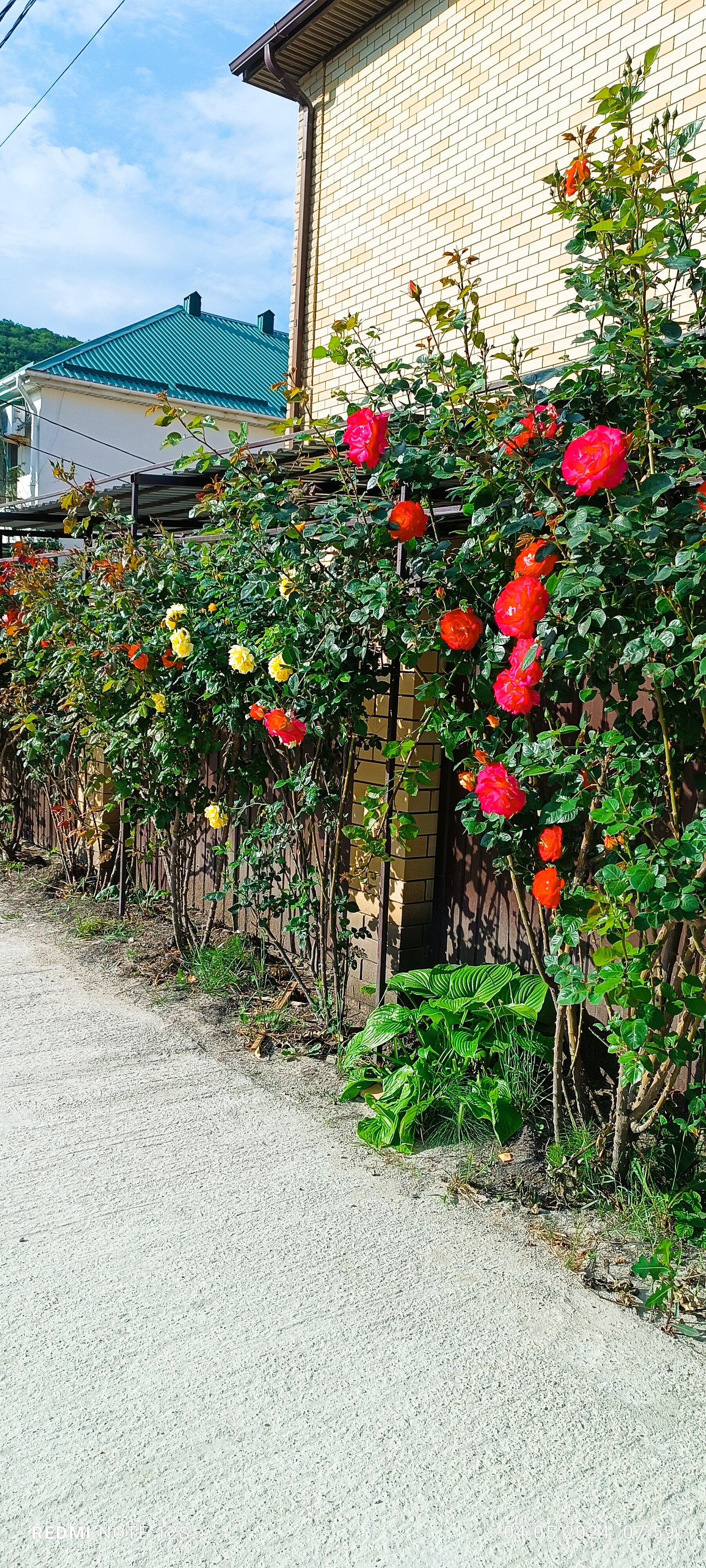 Фото Антипов