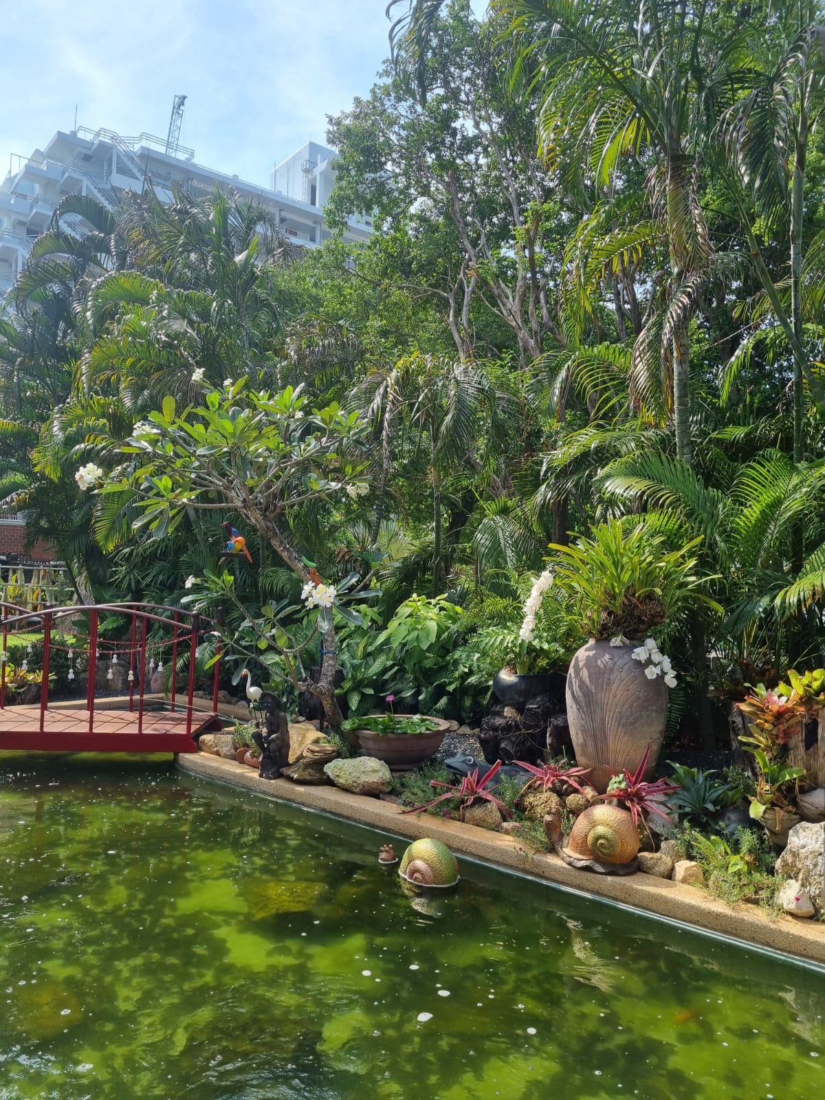 Фото Patong Resort