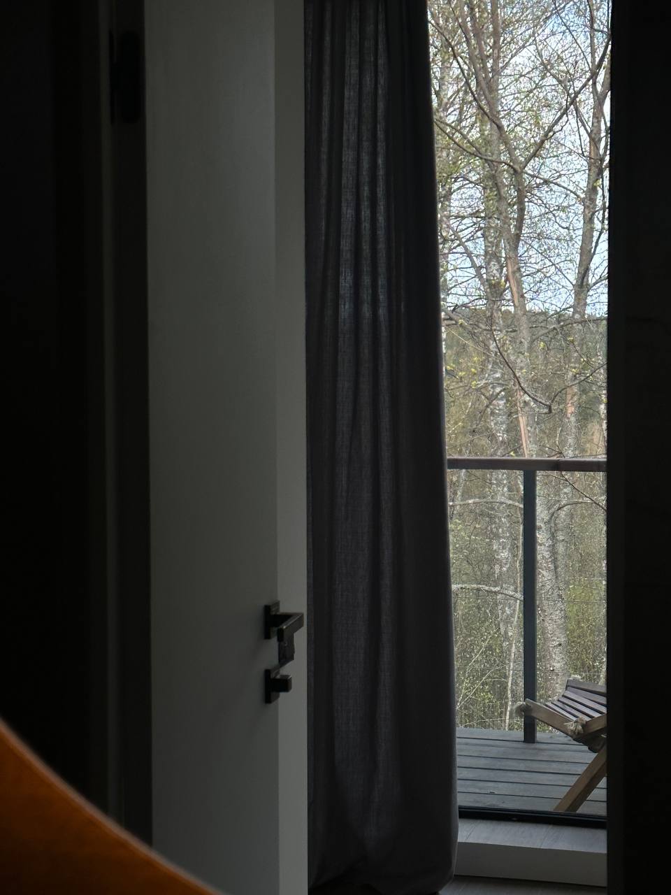 Фото Лесной восход