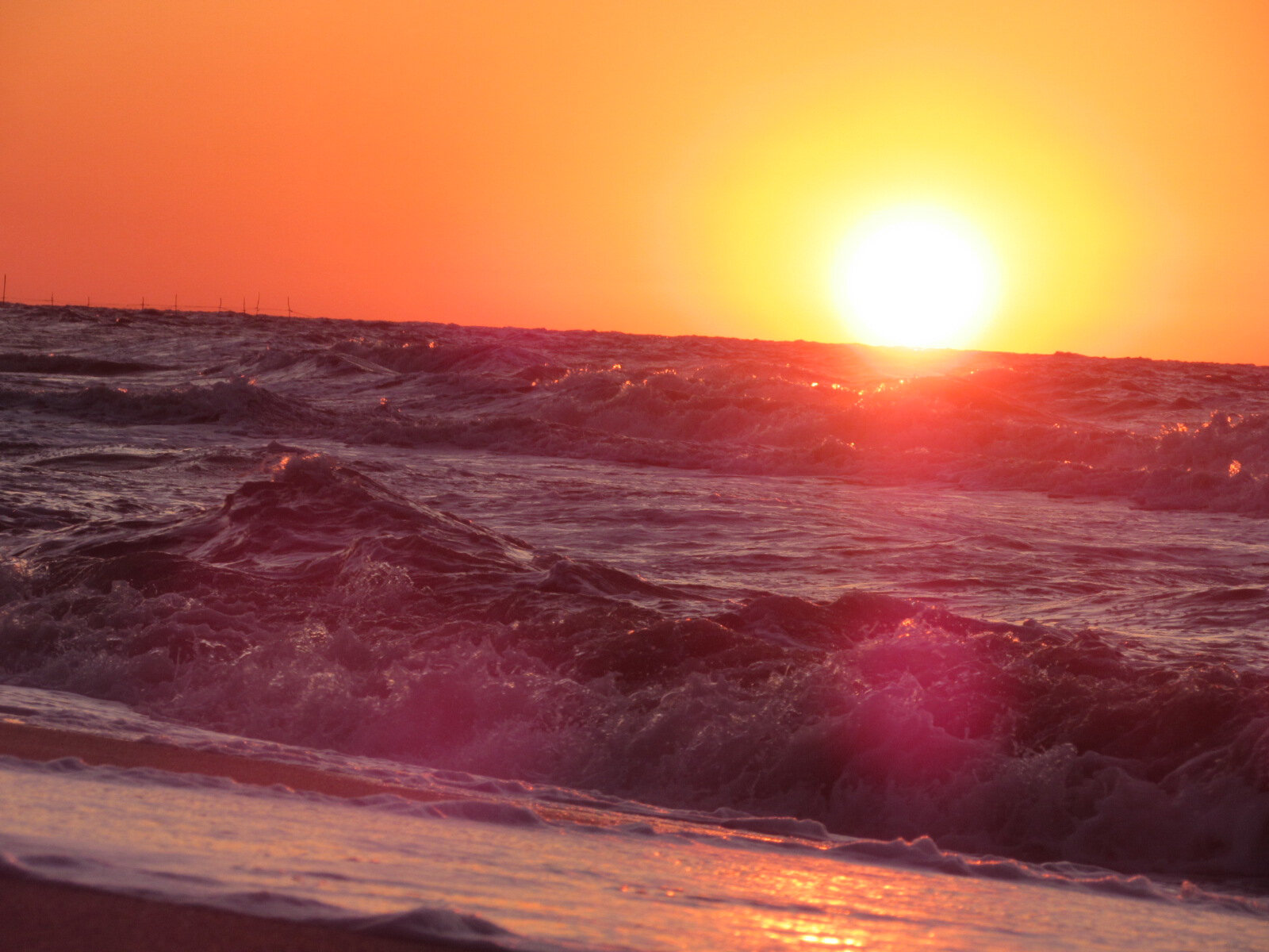 Фото Добрый хозяин