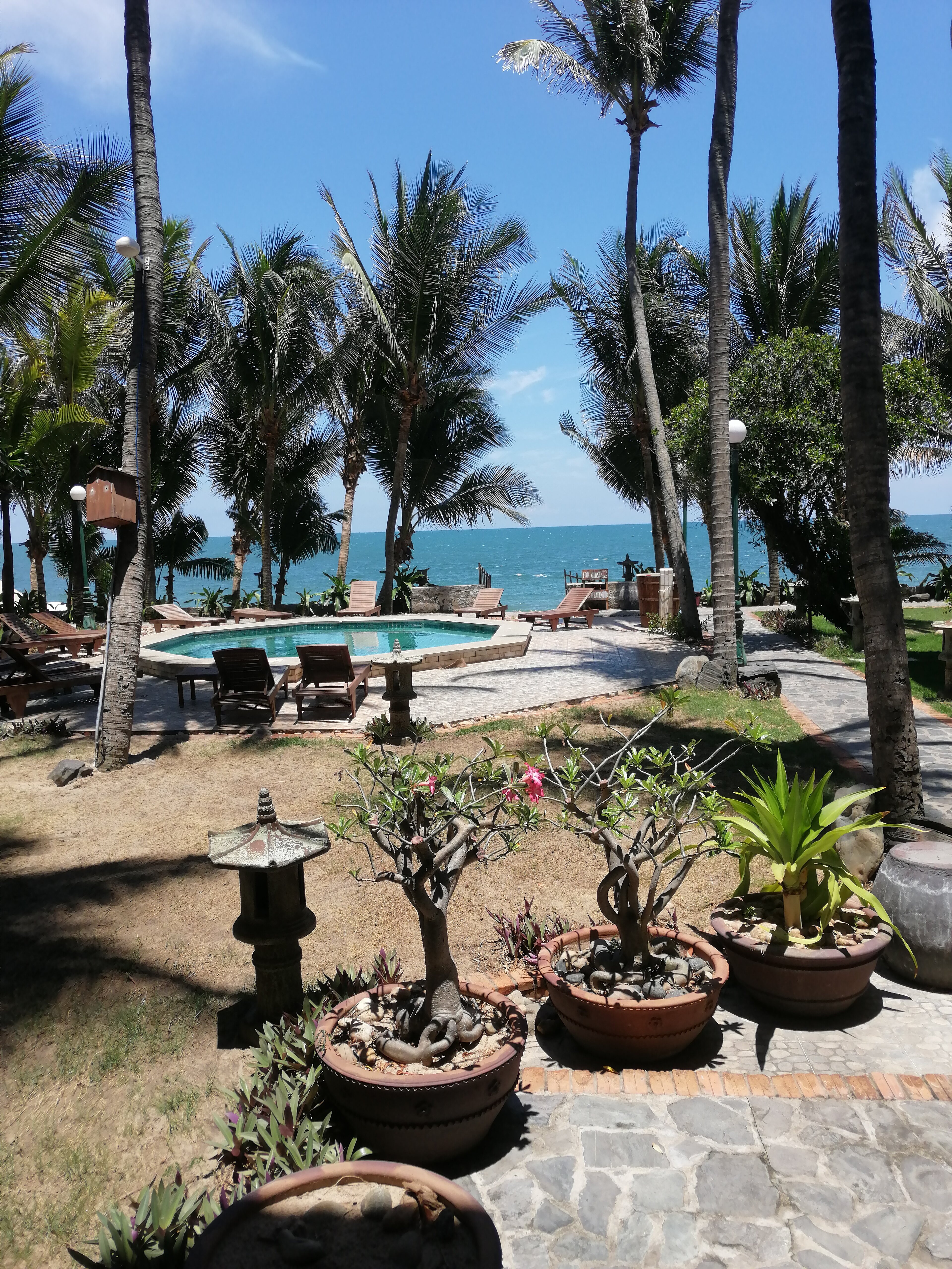 Фото Novela Muine Resort & SPA