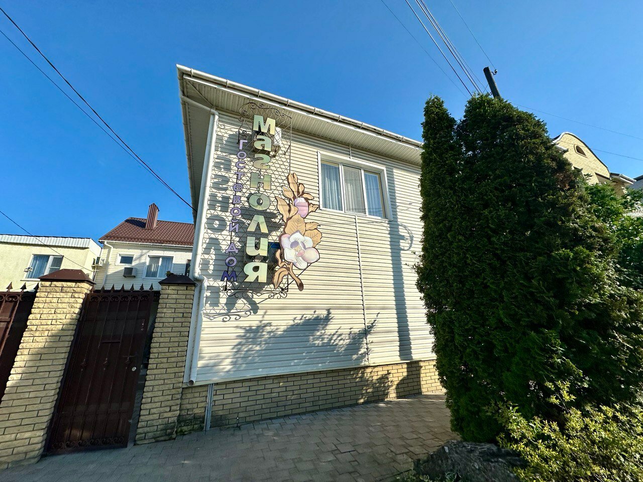 Фото Магнолия