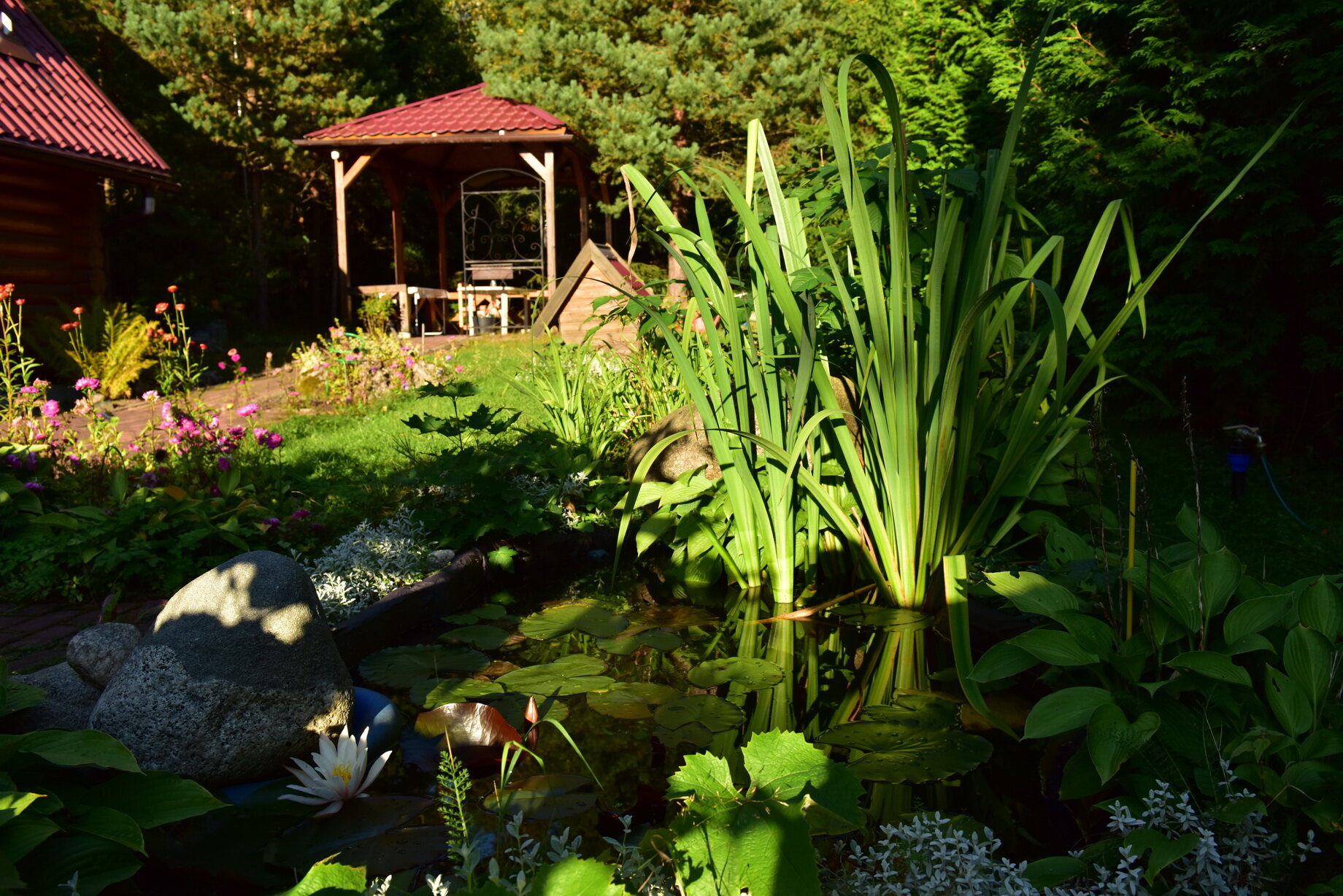 Фото отеля 4