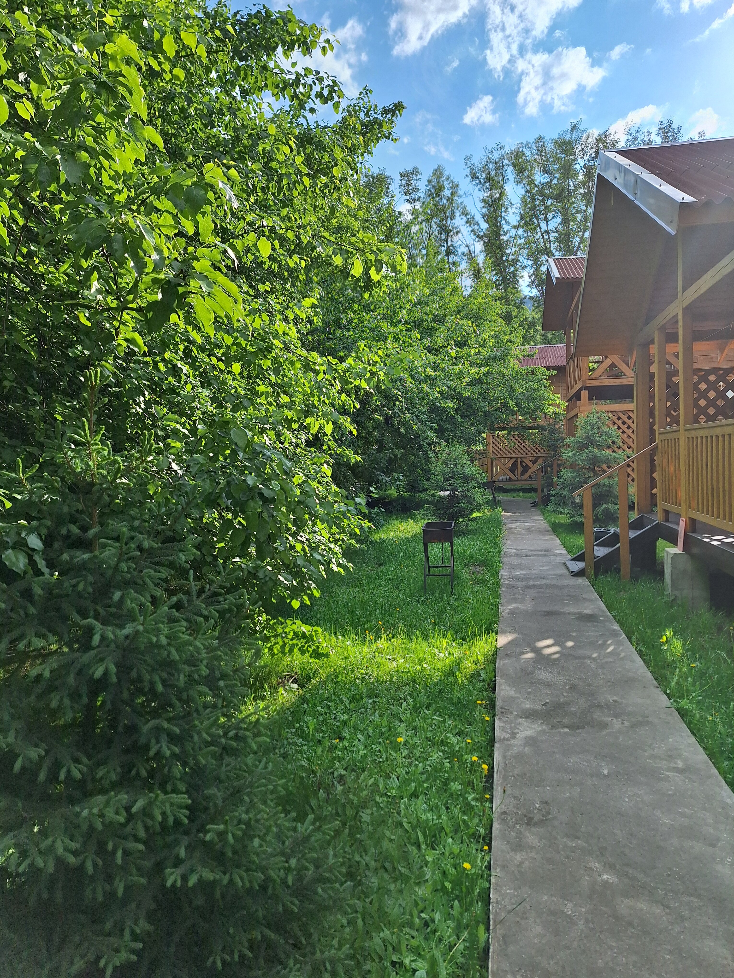 Фото Чемальское лето