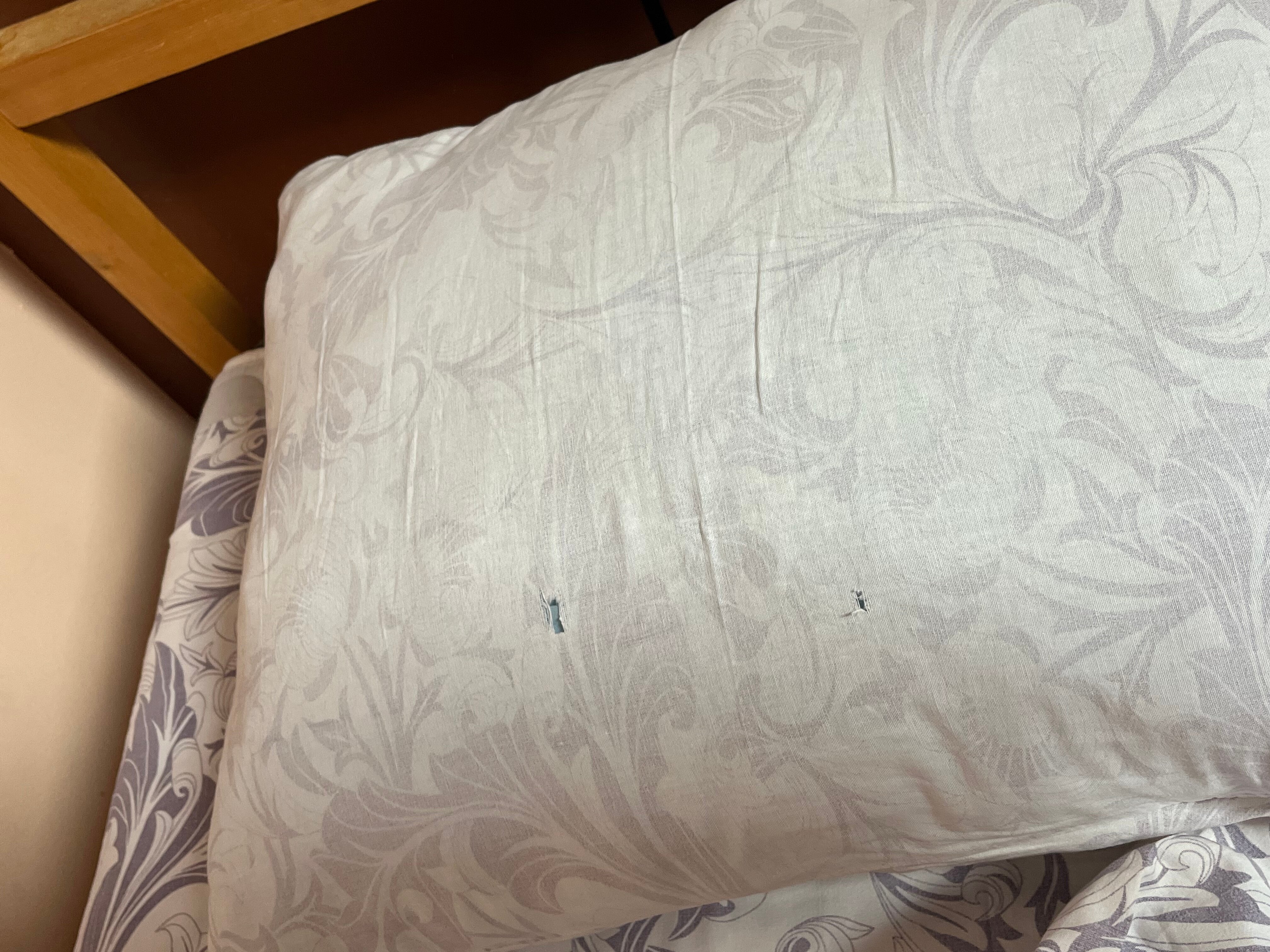 Фото Родина