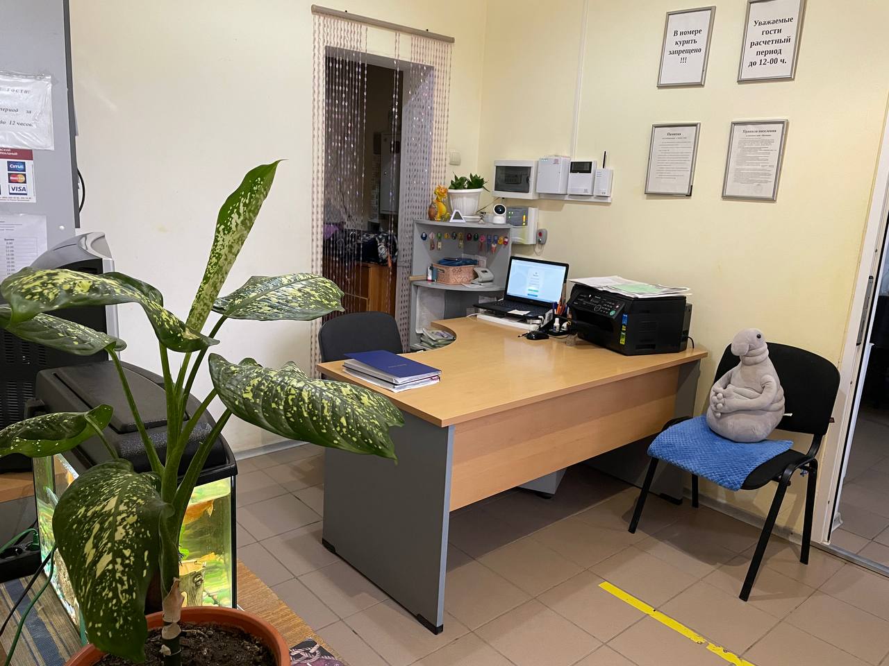 Фото Катюша