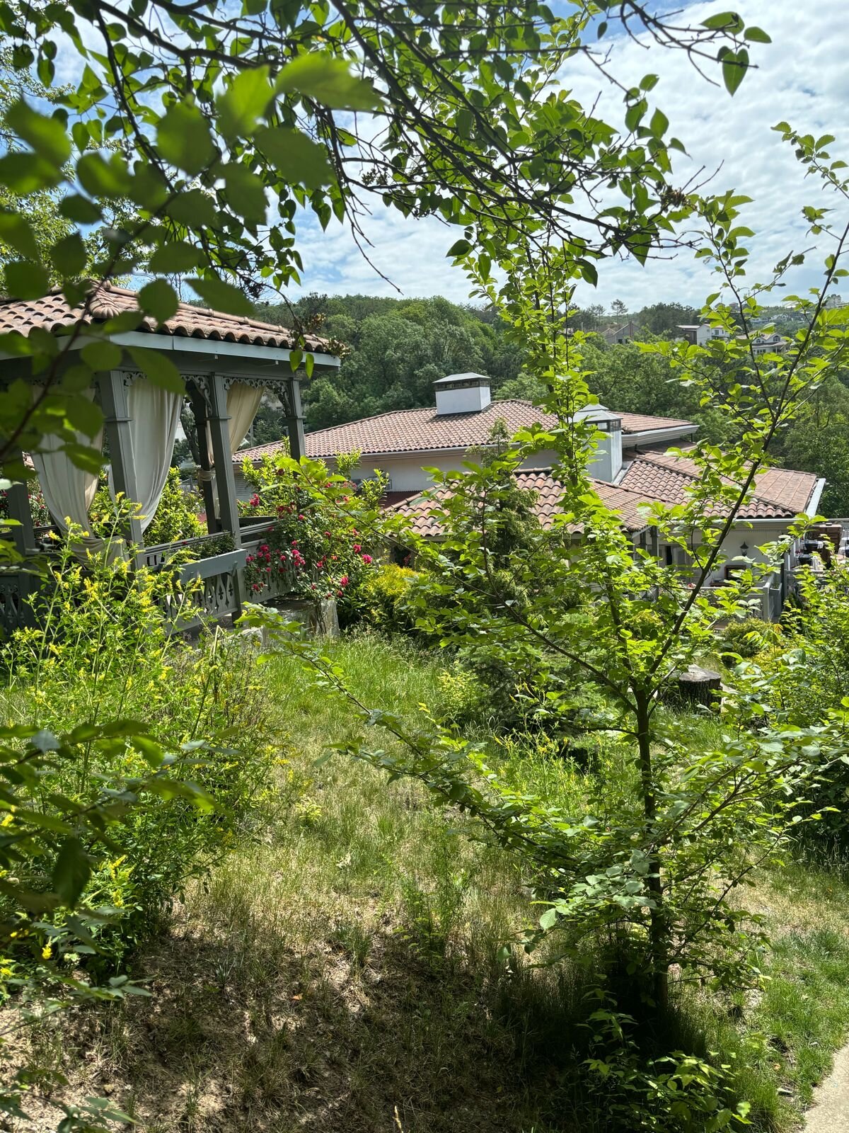 Фото Фрау Абрау