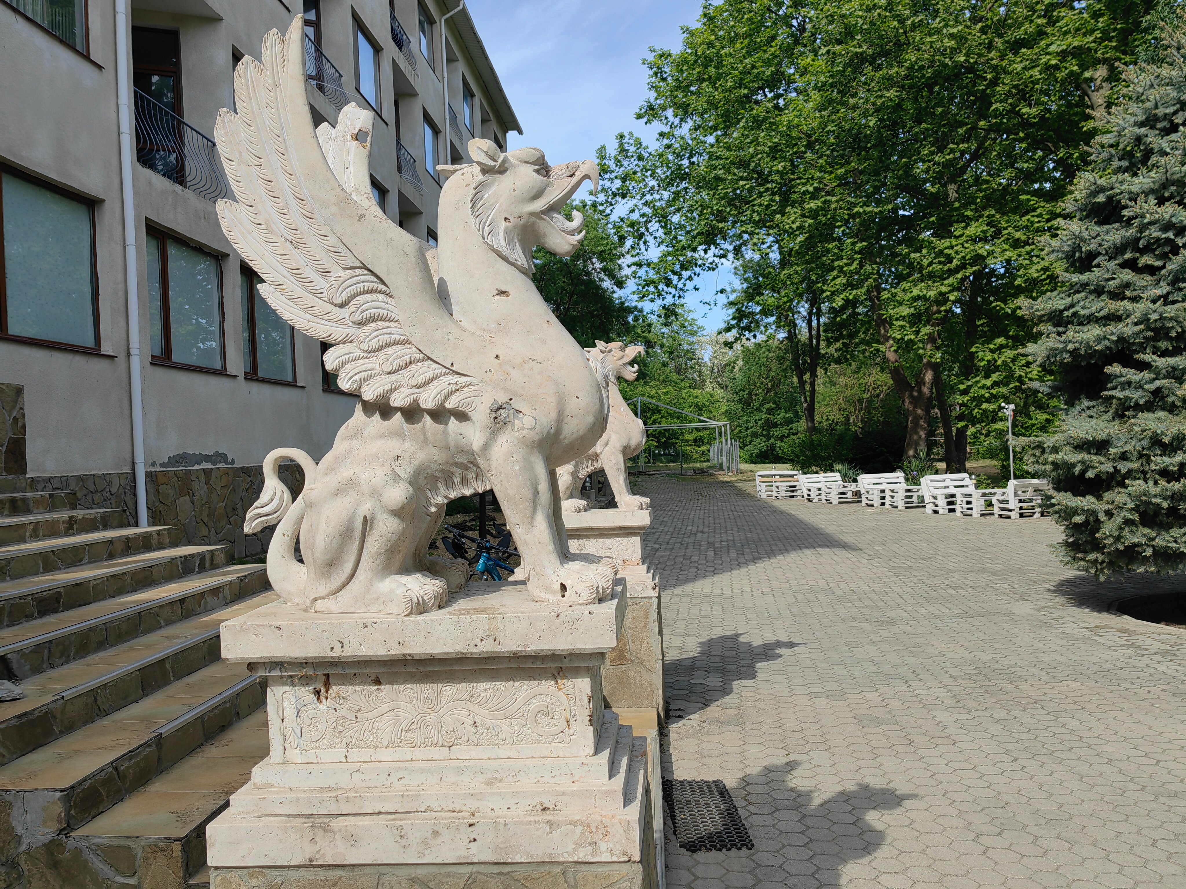 Фото Мечта Тея