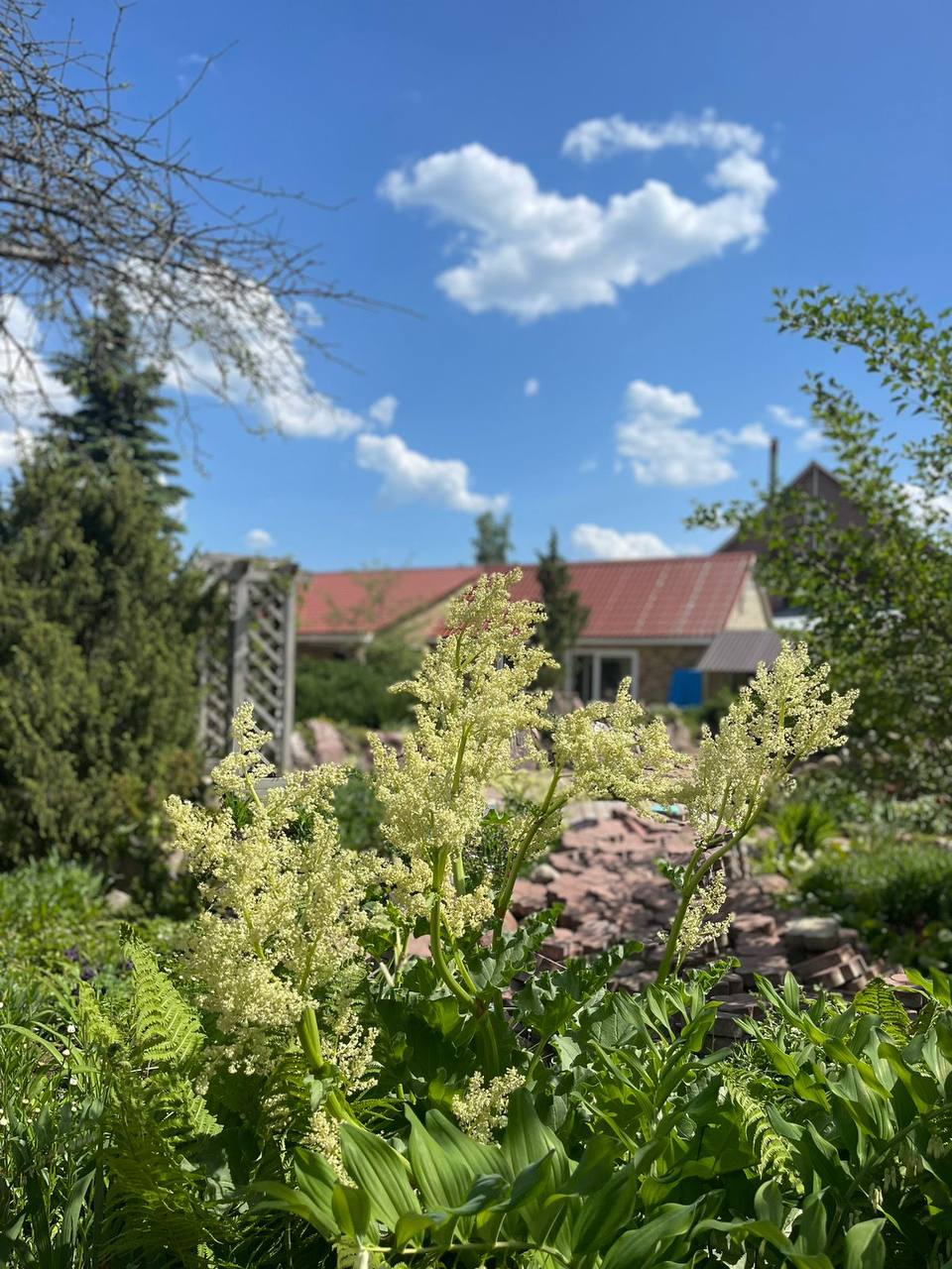 Фото Ореховый рай