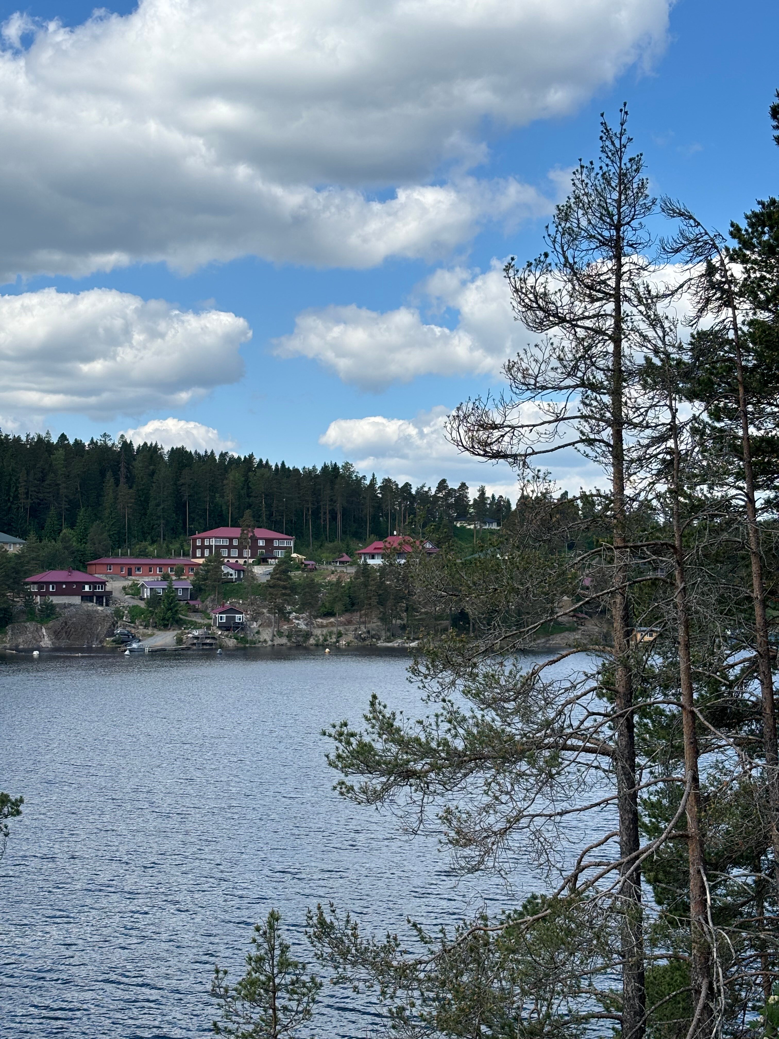 Фото Forest Park