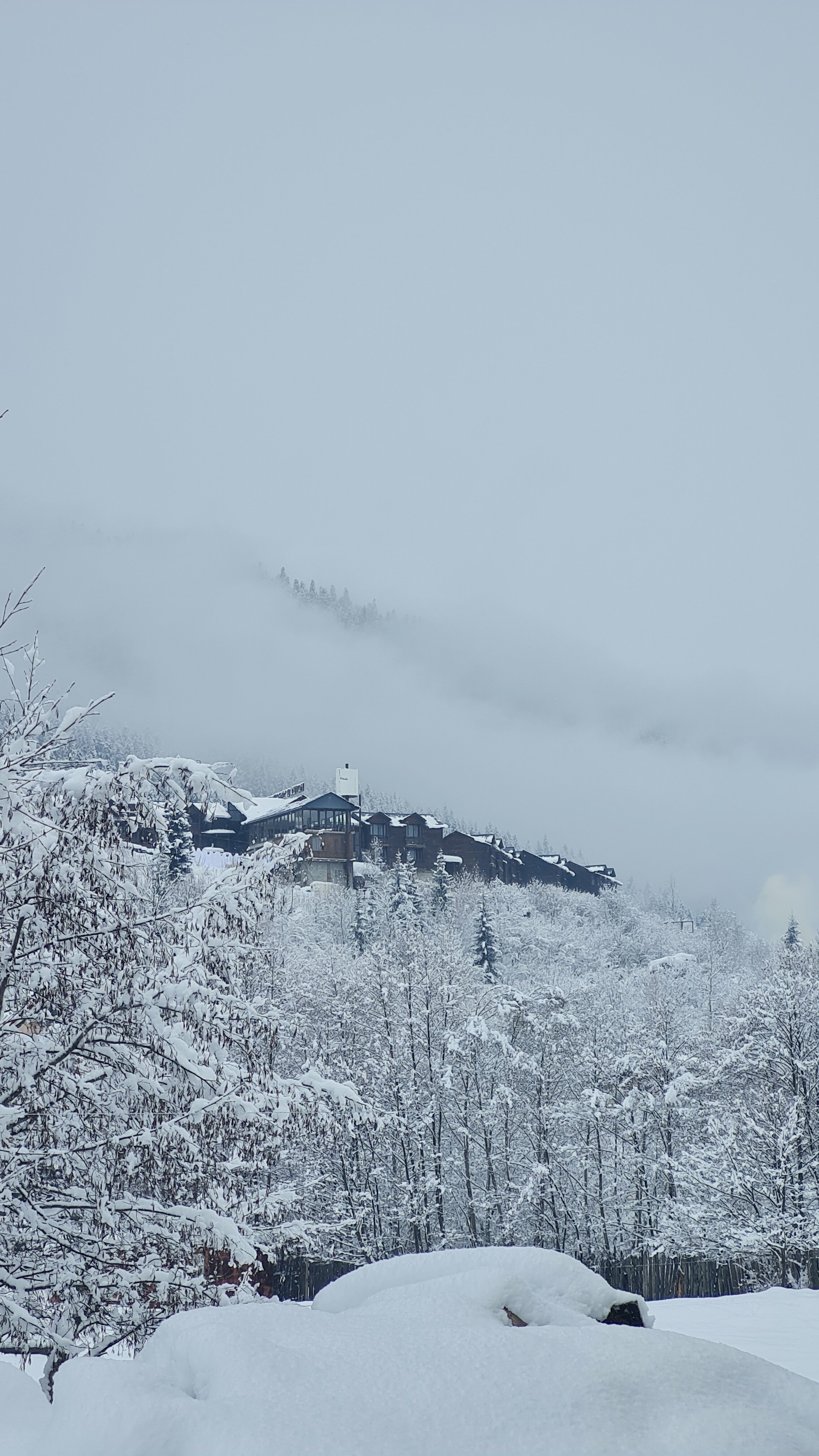 Фото Mestia Roots