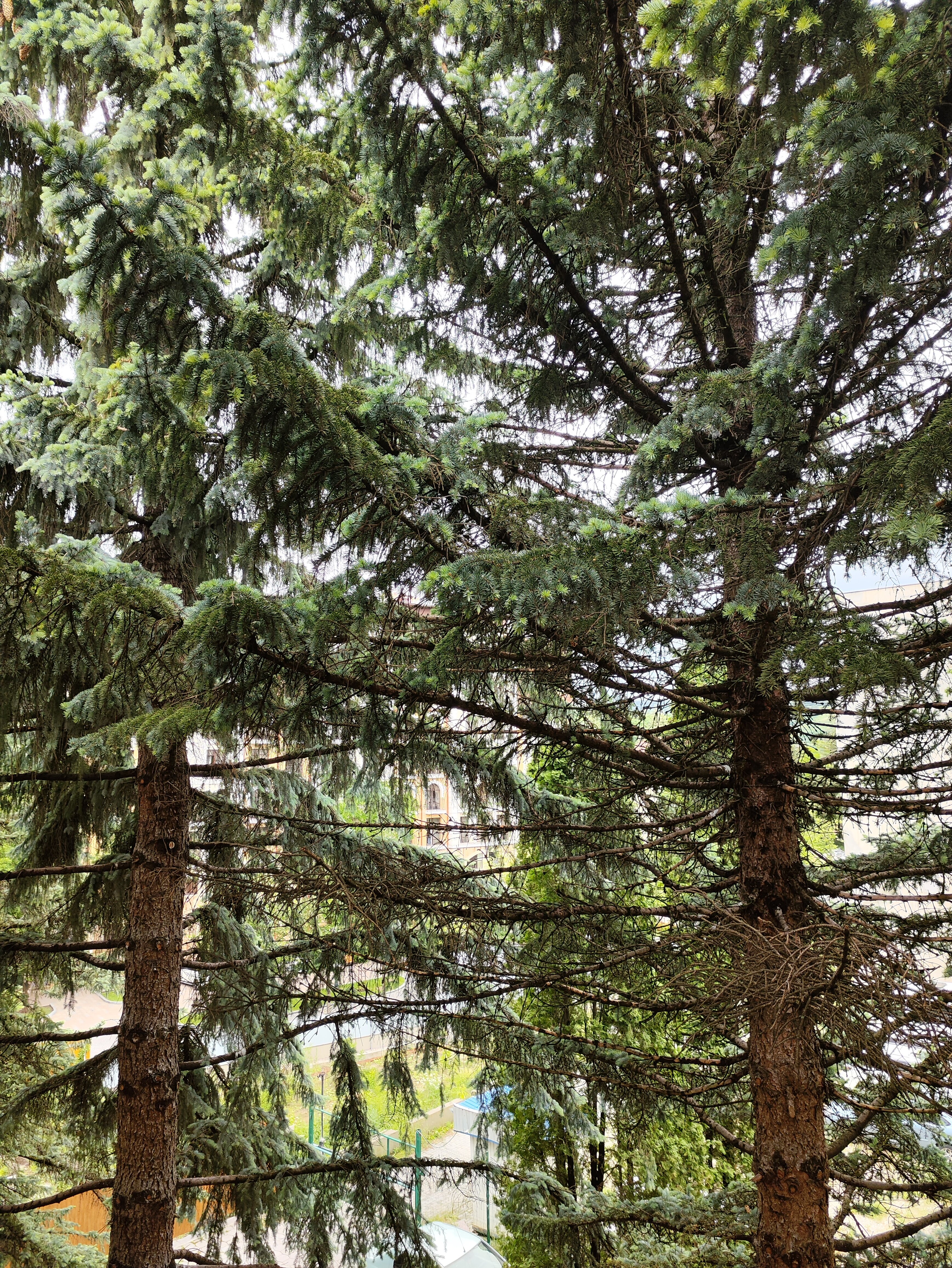 Фото Родина