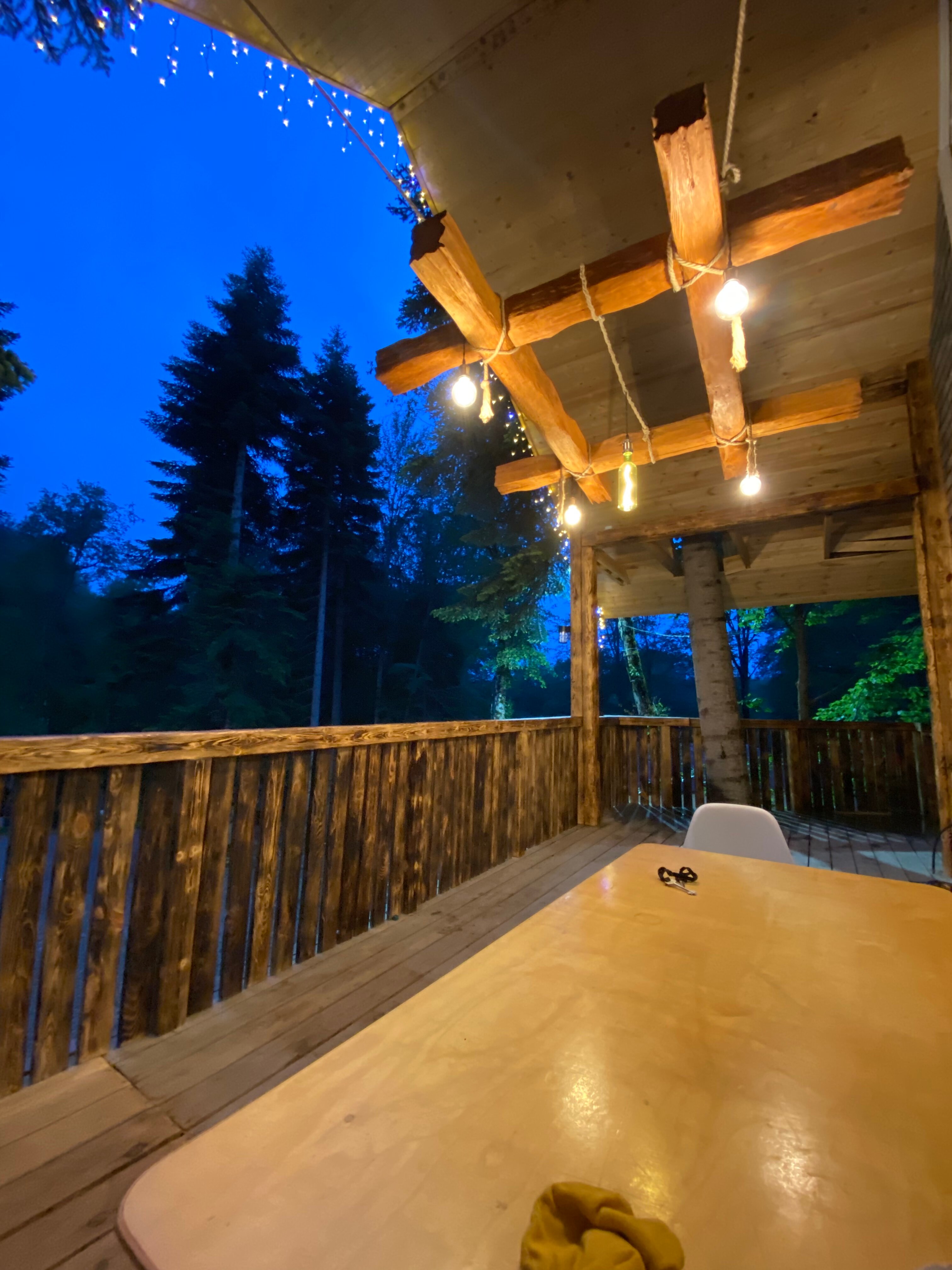 Фото Аргали