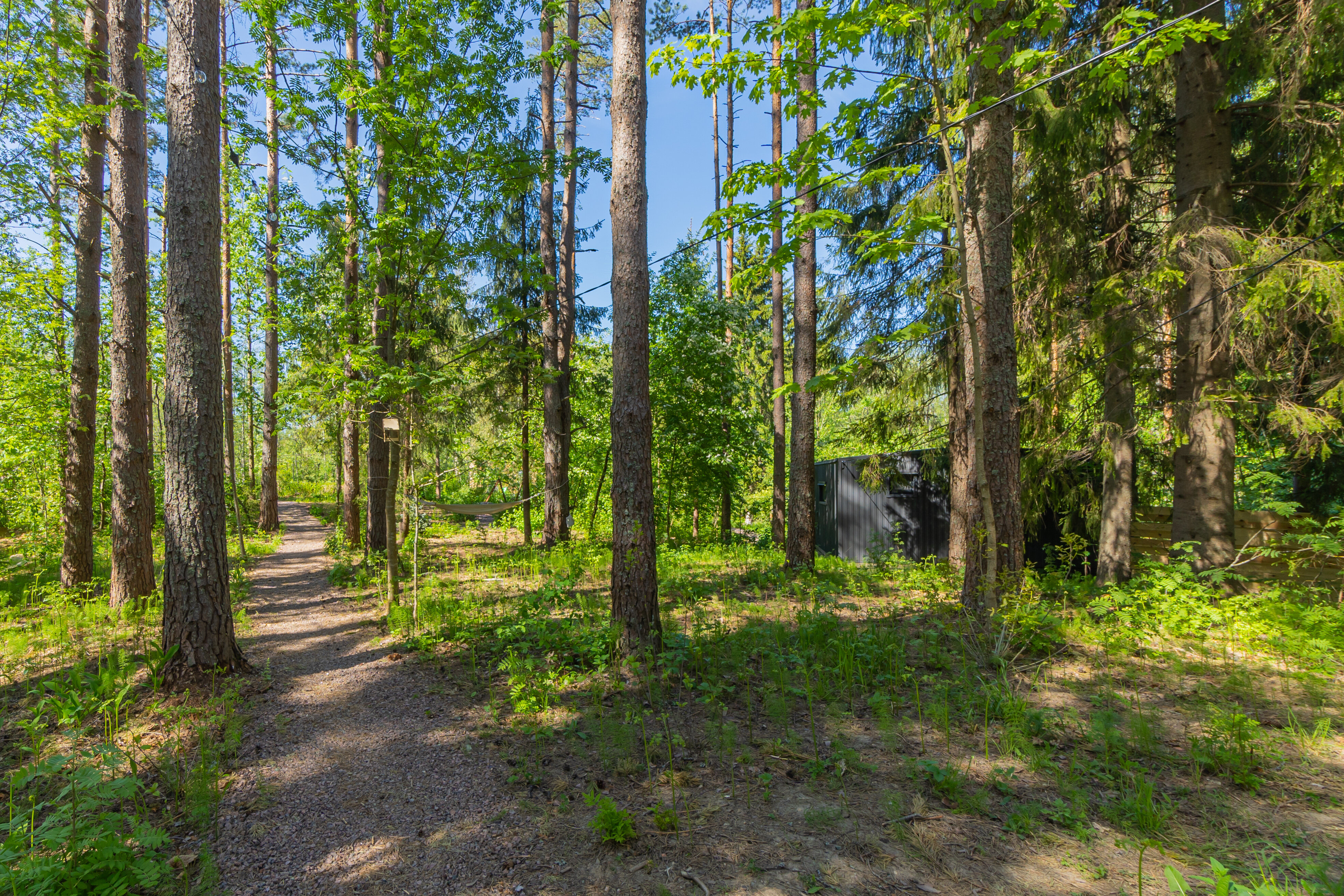 Фото 176623503752