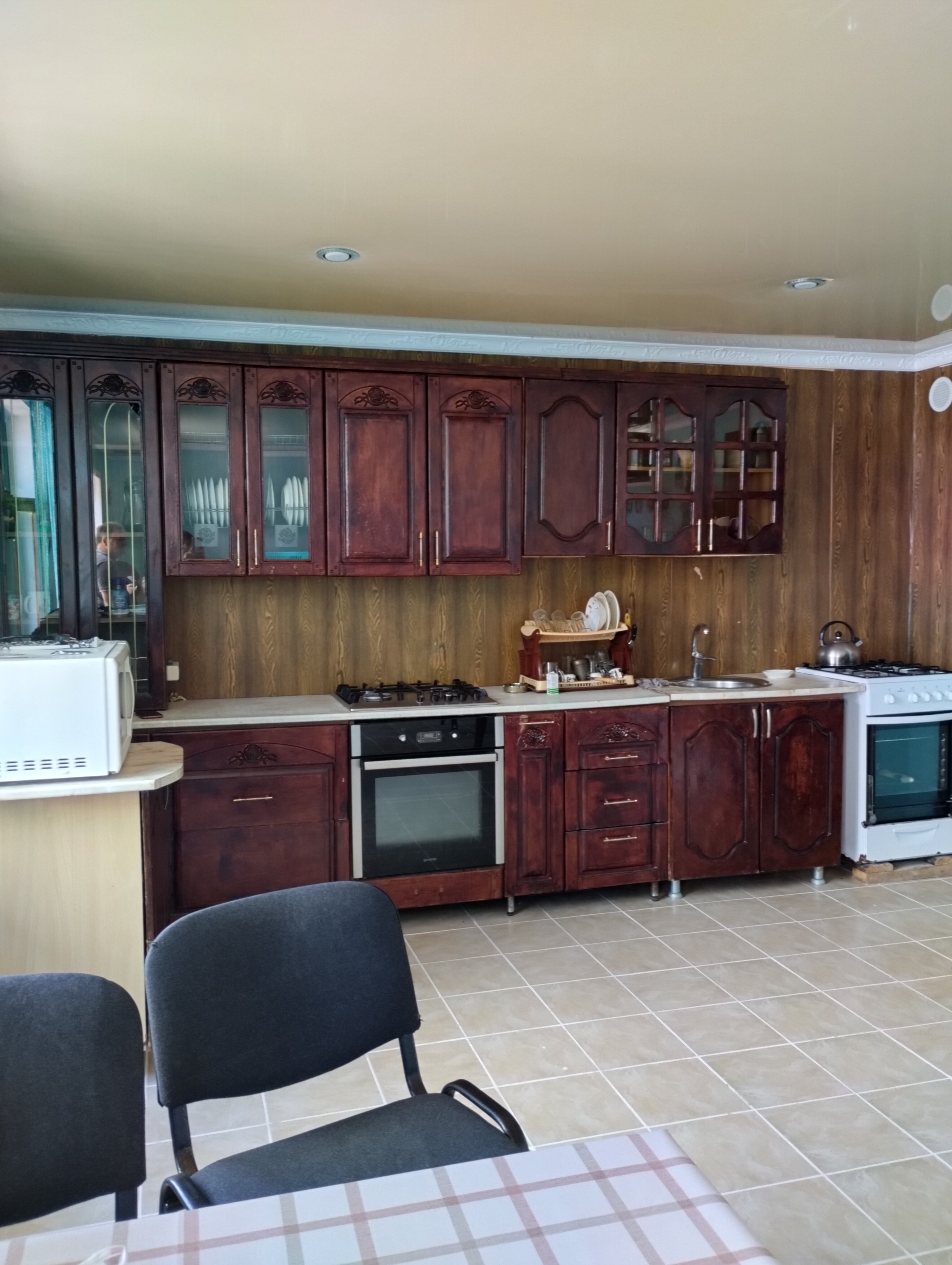 Фото Азалия