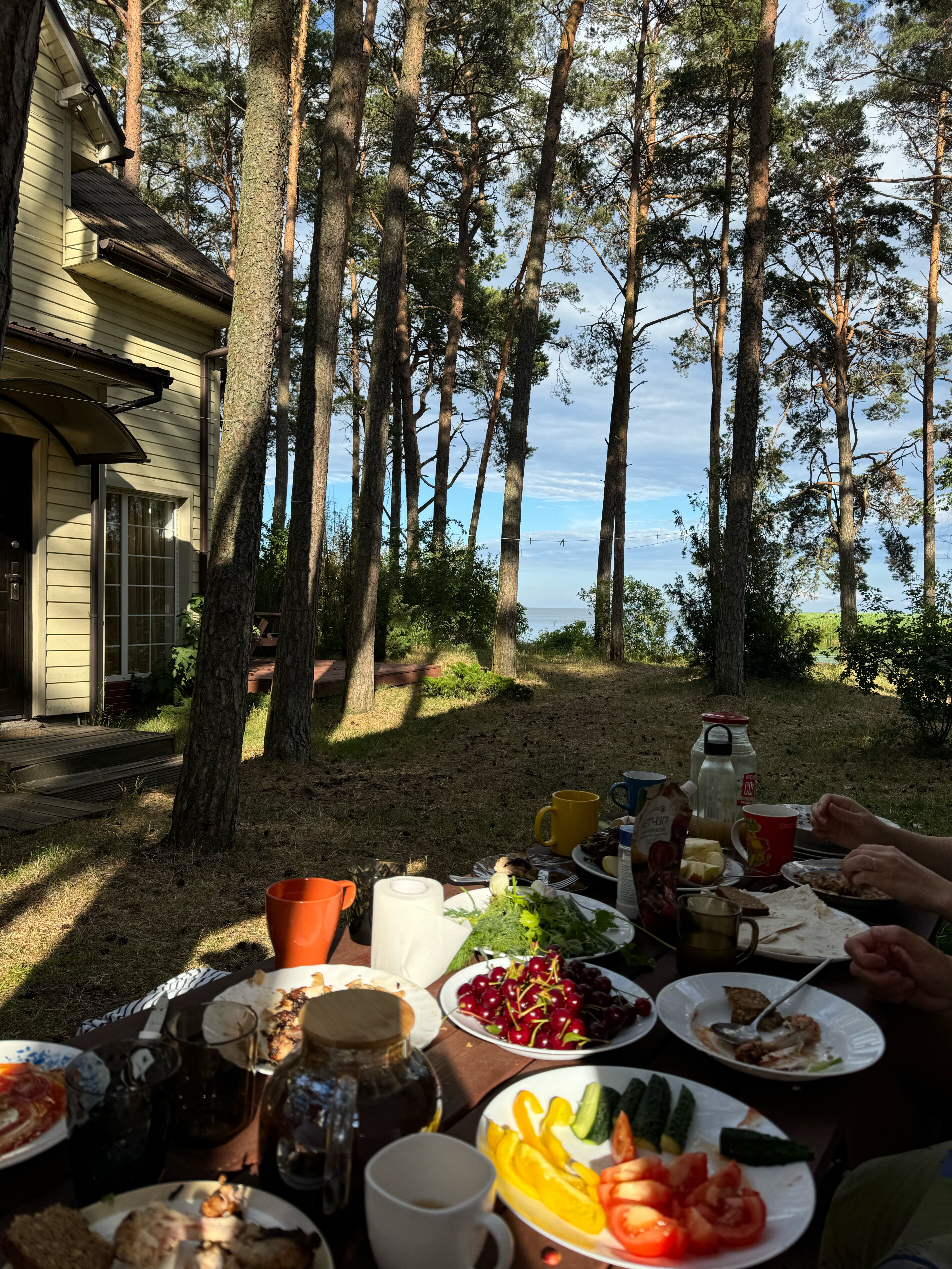 Фото ВитТех