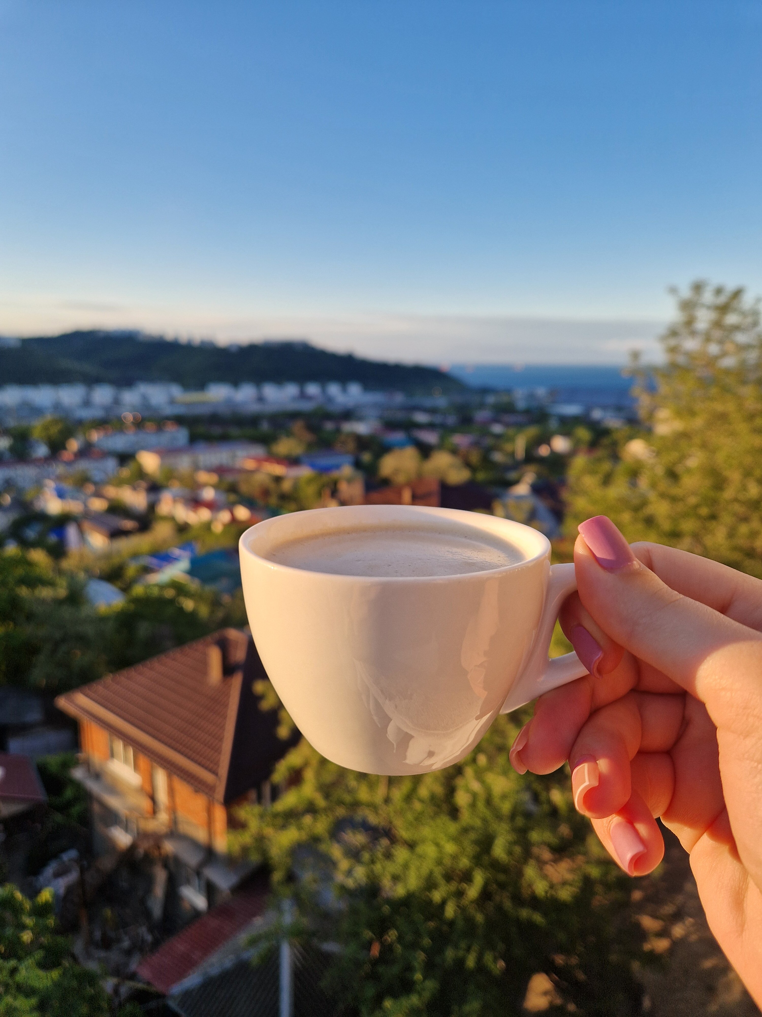 Фото Rosa Del Viento