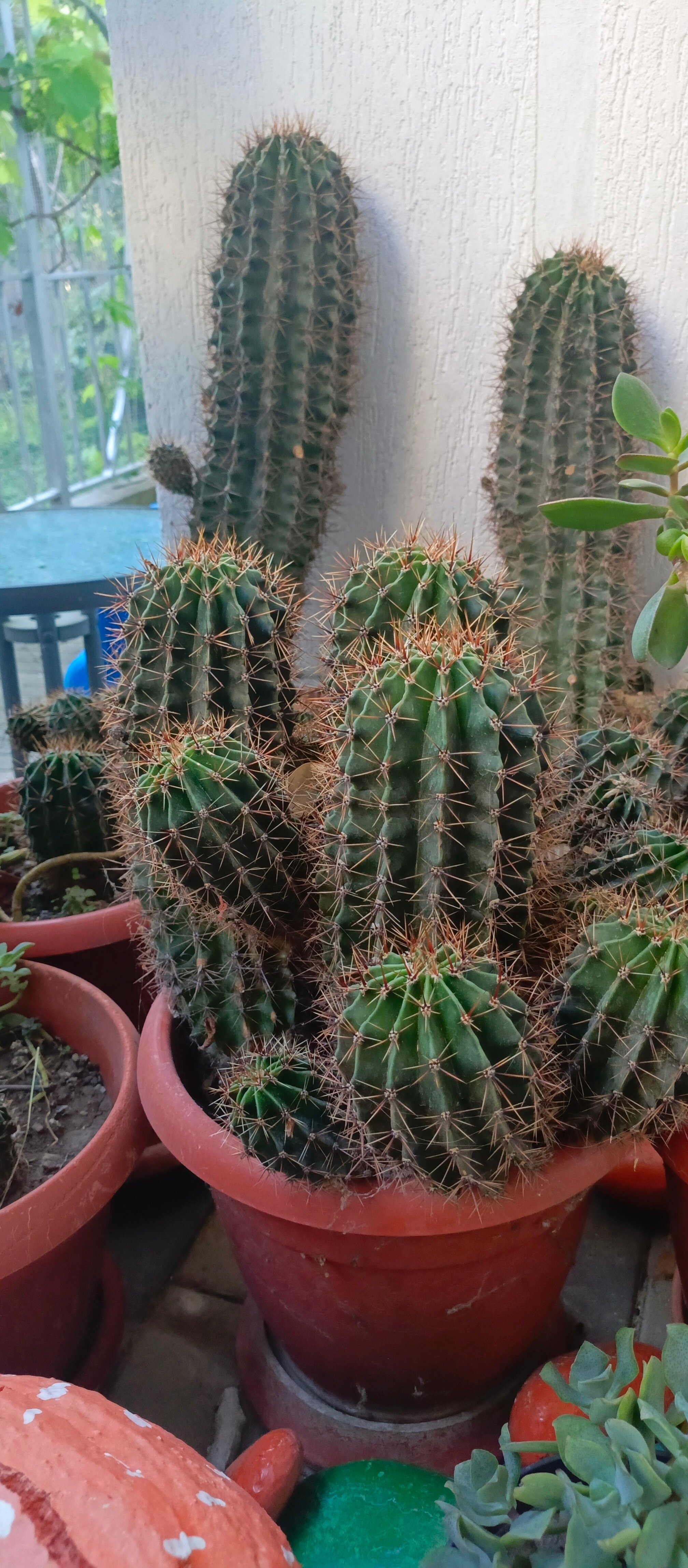 Фото Аватар Гостевой дом