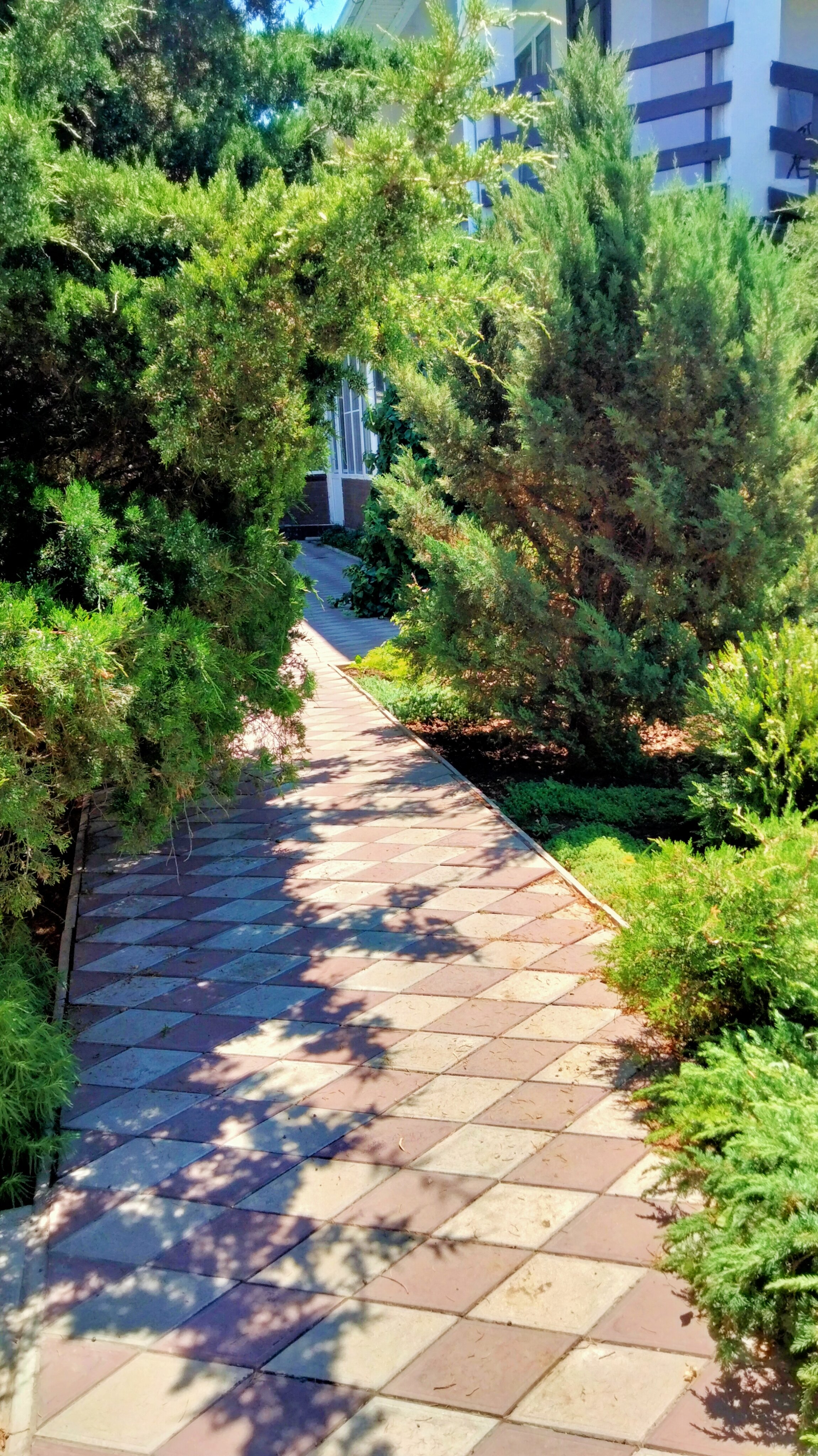 Фото Фортуна