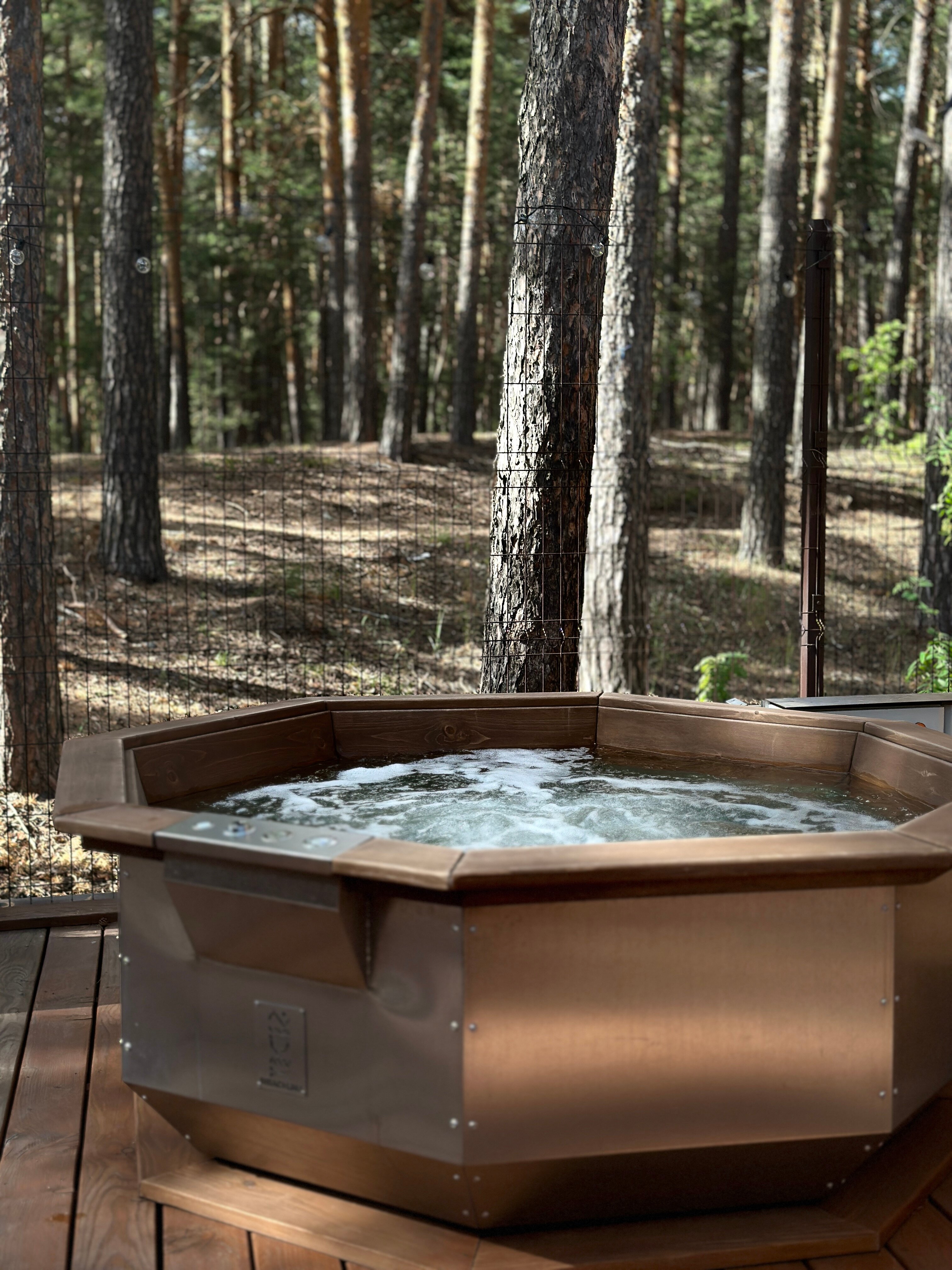 Фото Янтарь