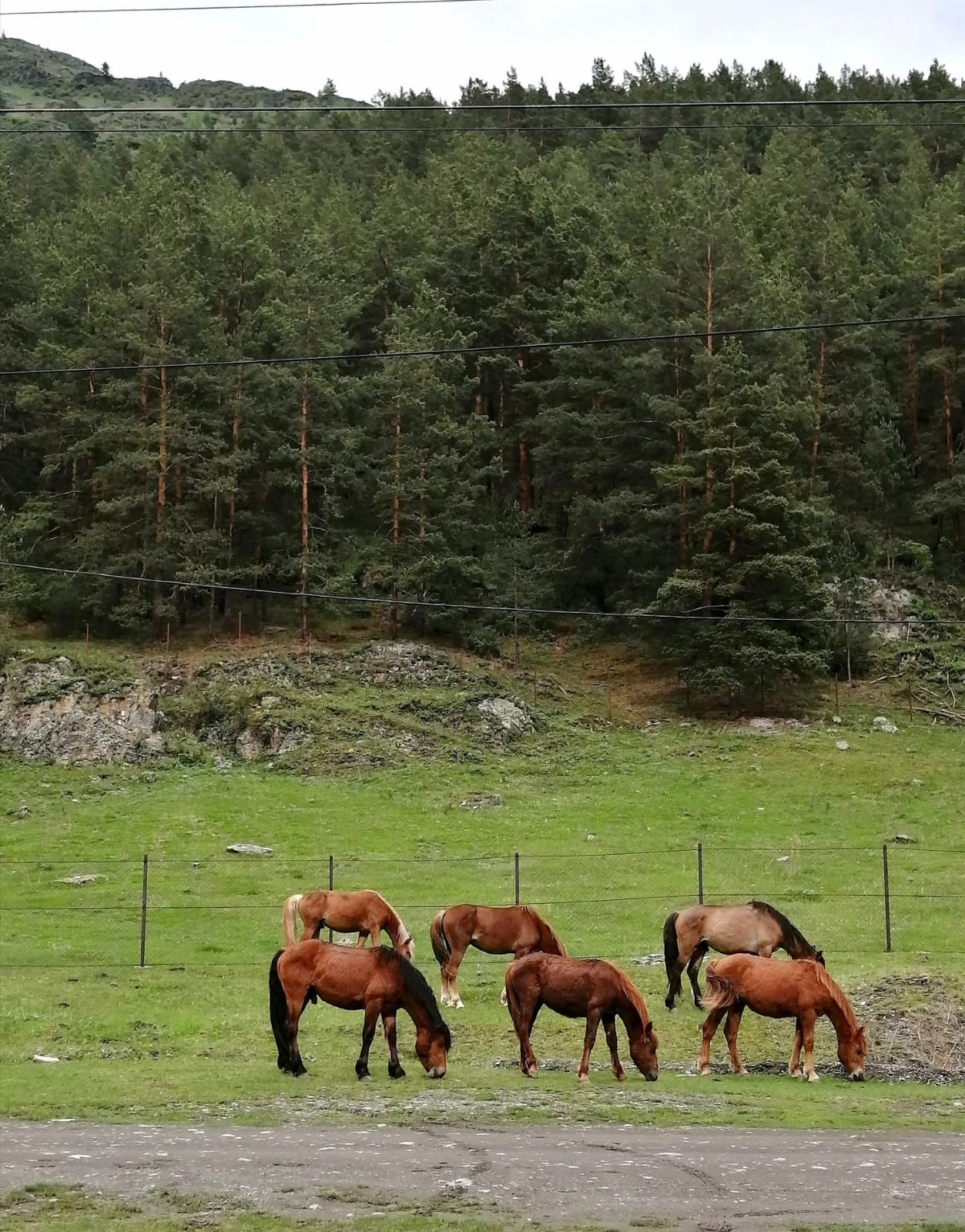 Фото Домик в Чемале